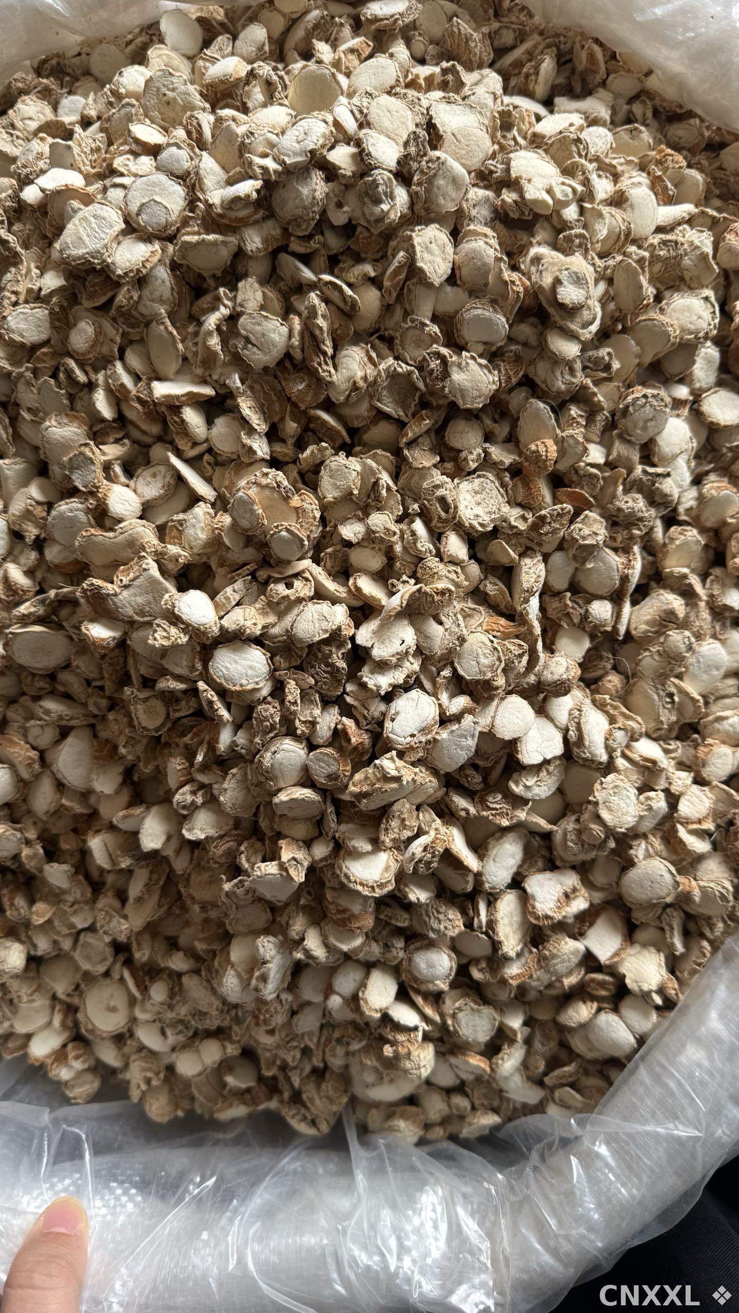 spice_9501_15ff7635_3.jpg