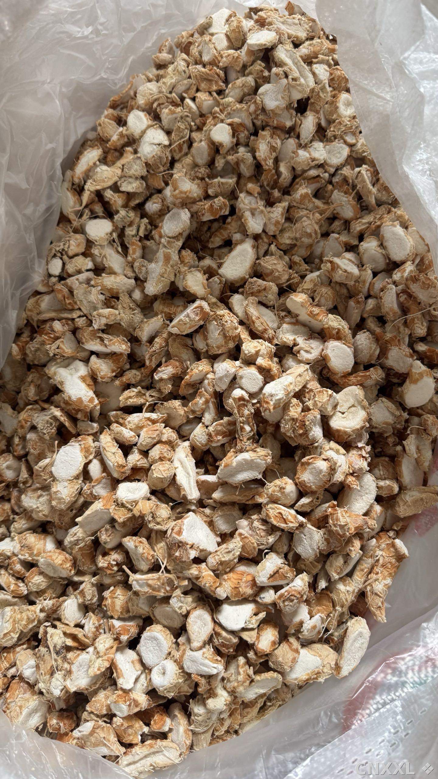 spice_9529_32f2b2cd_2.jpg