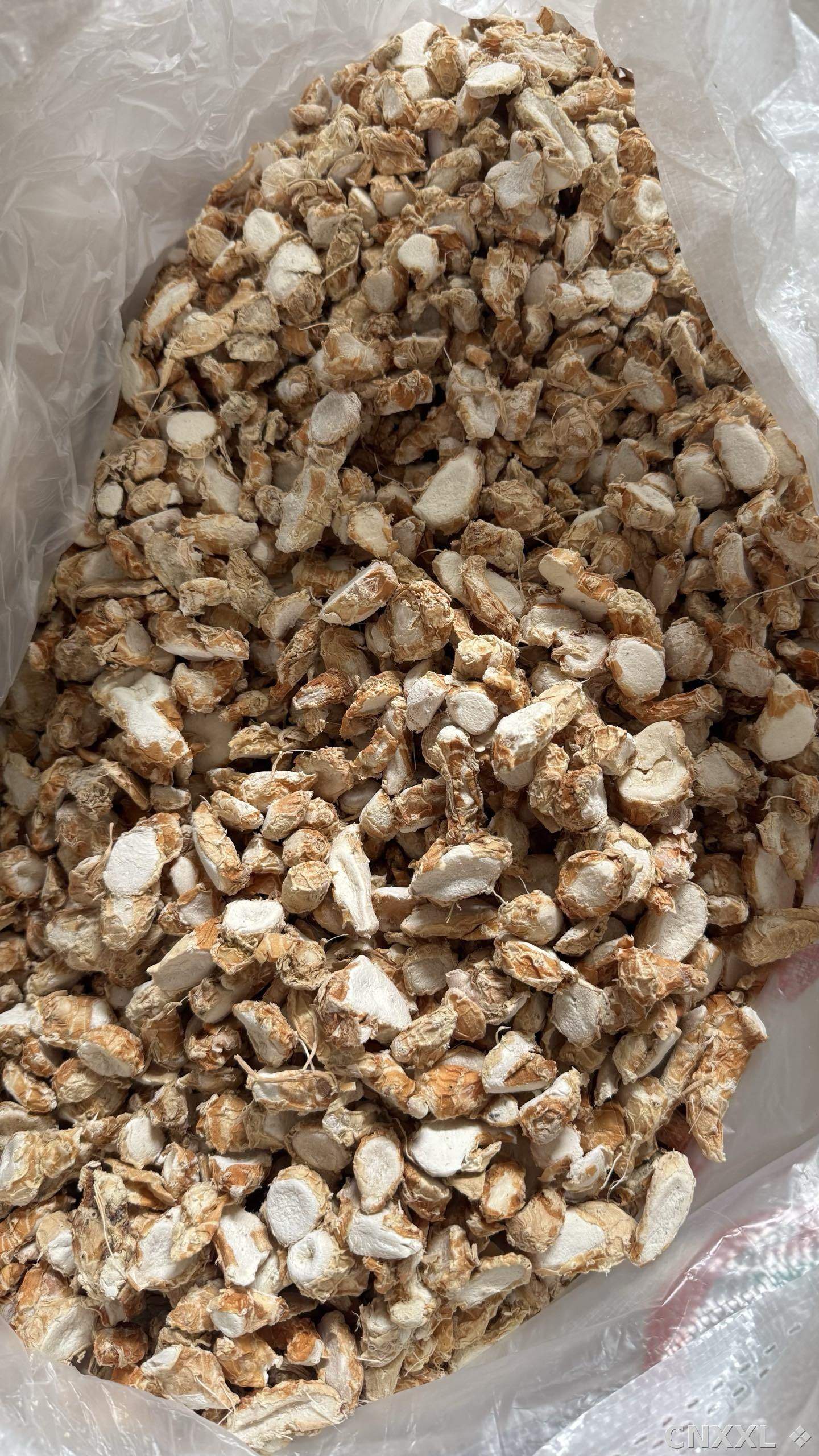 spice_9529_693c9afb_3.jpg