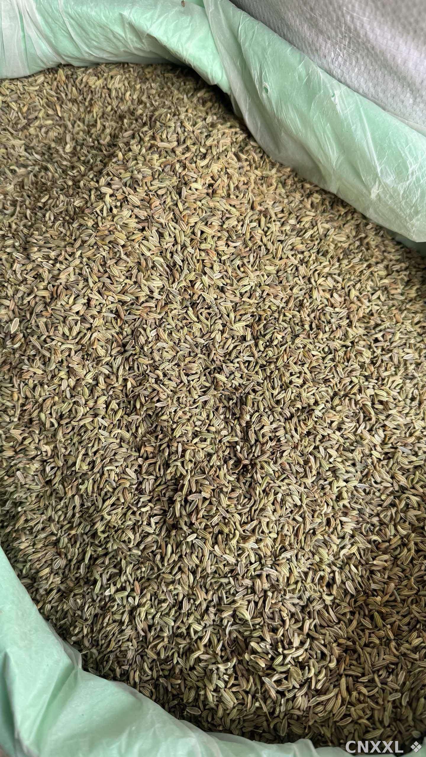 spice_9530_ad048545_3.jpg