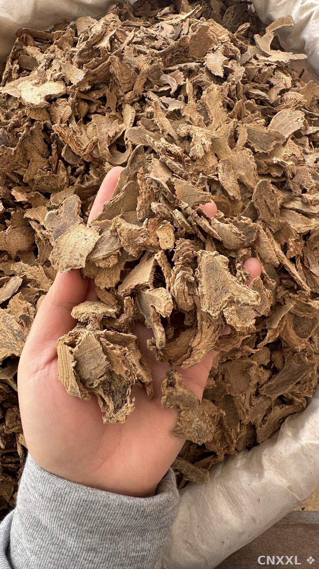 spice_9543_bf0ee620_2.jpg