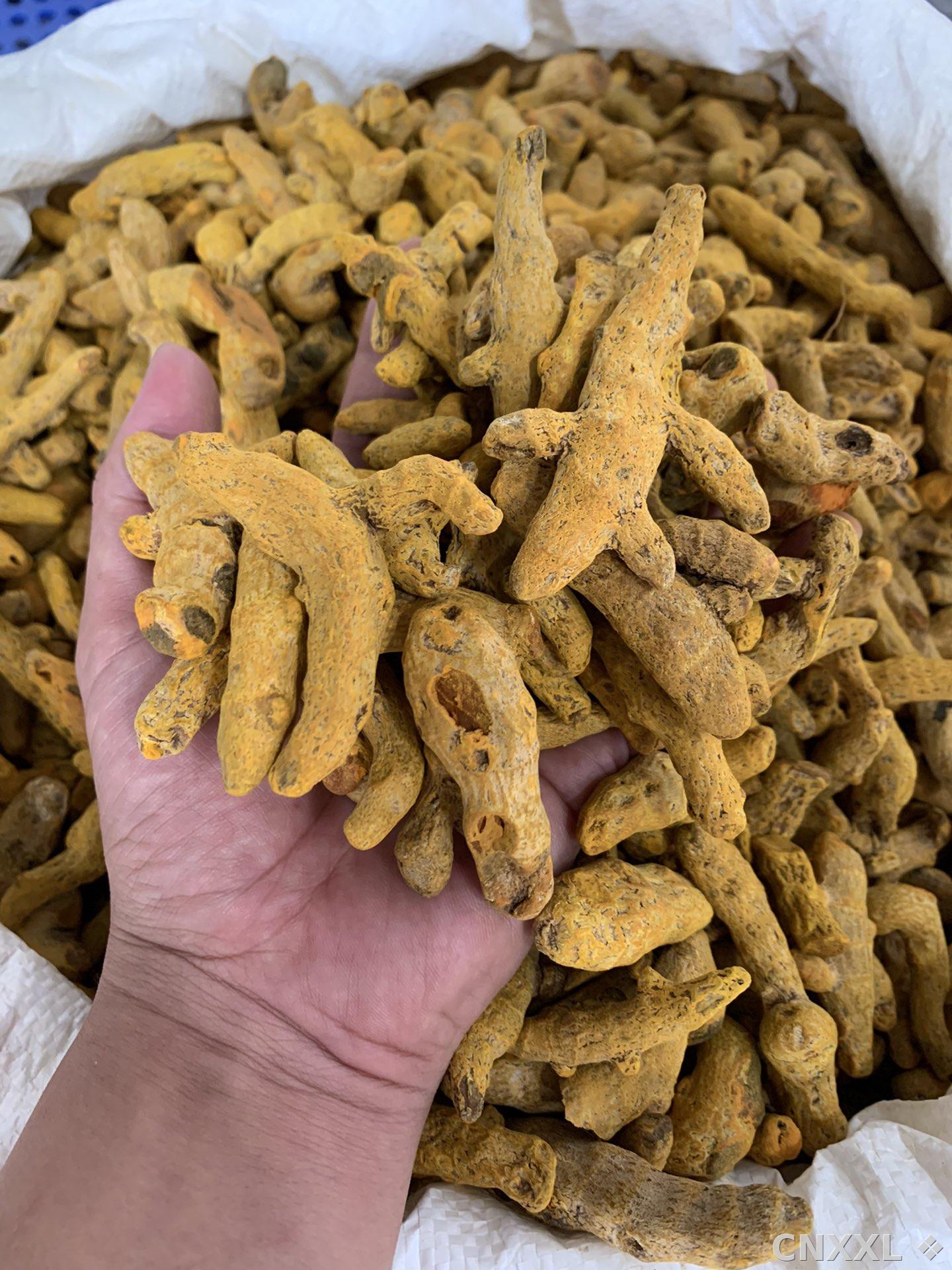 spice_9551_a060a336_2.jpg