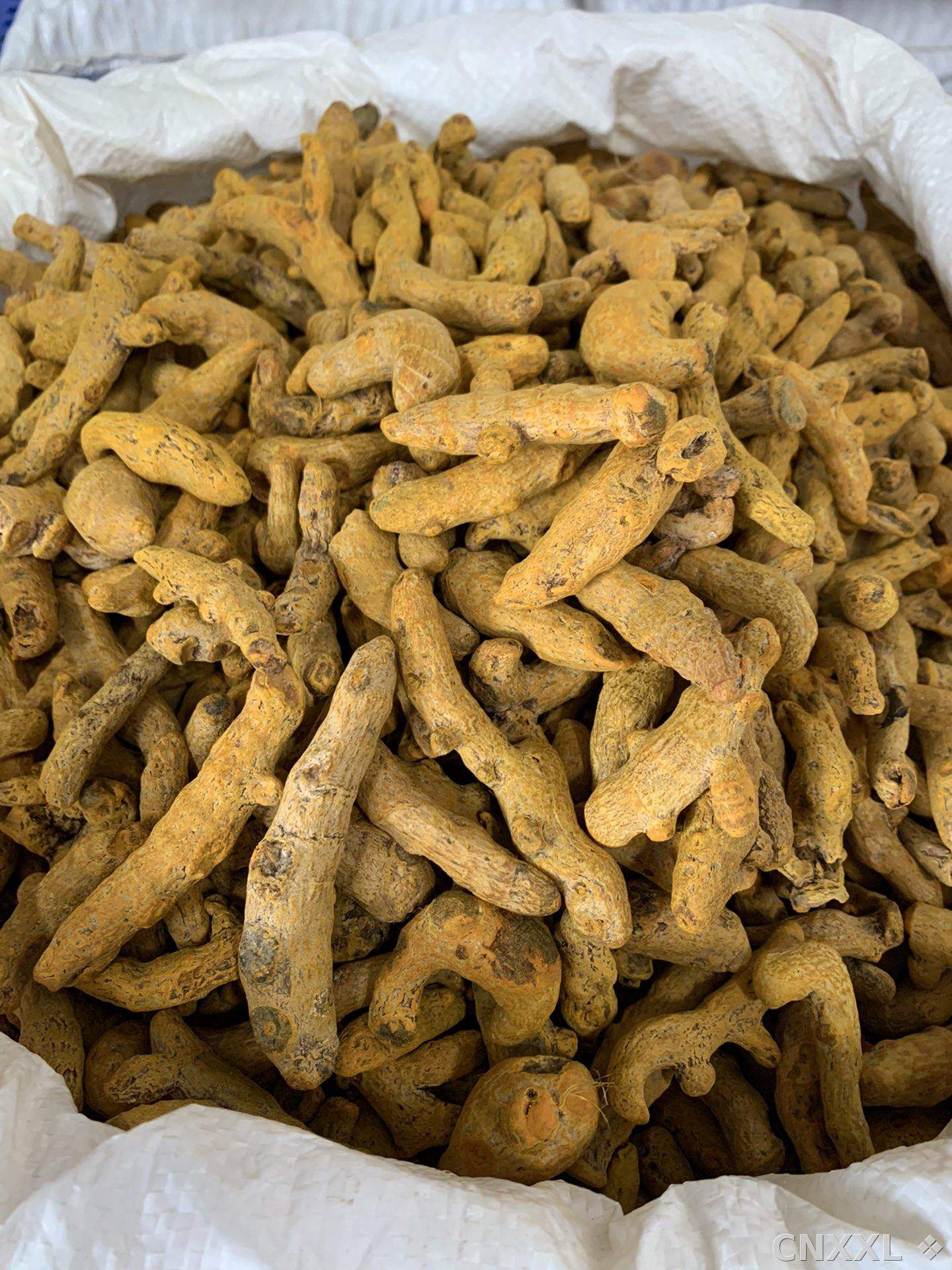 spice_9551_b84c36a8_3.jpg