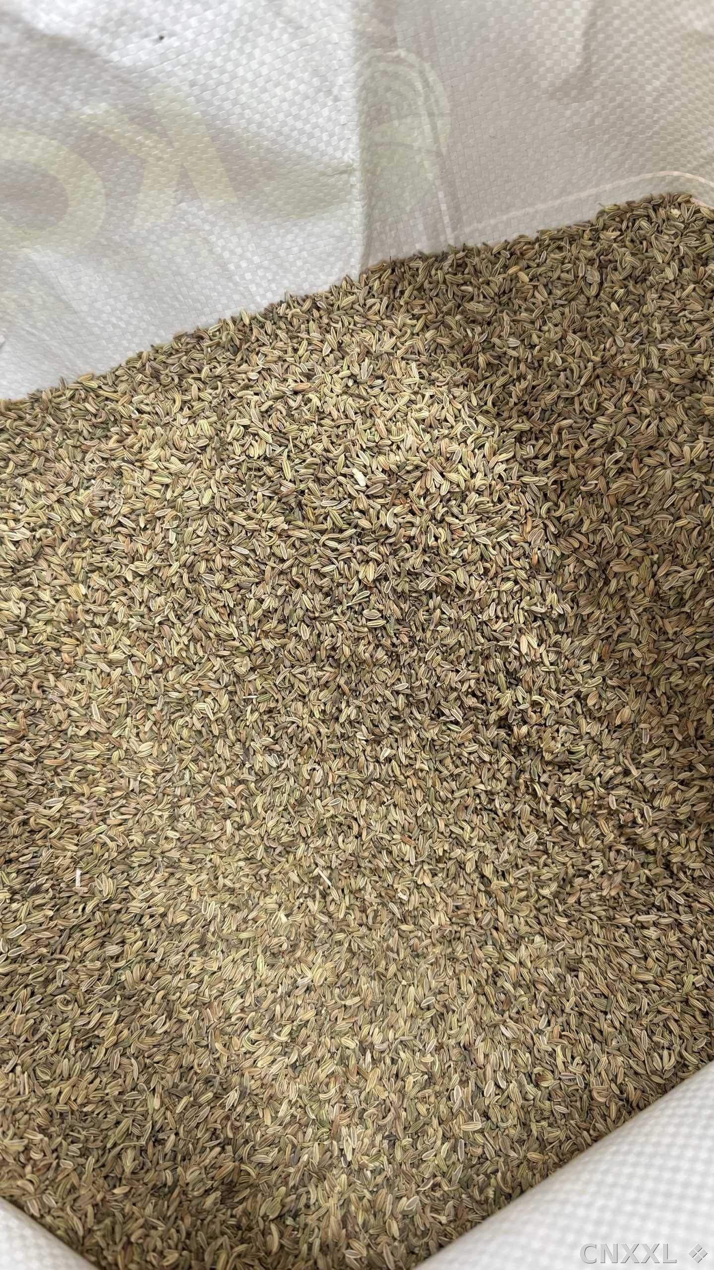 spice_96_de0d21a4_2.jpg