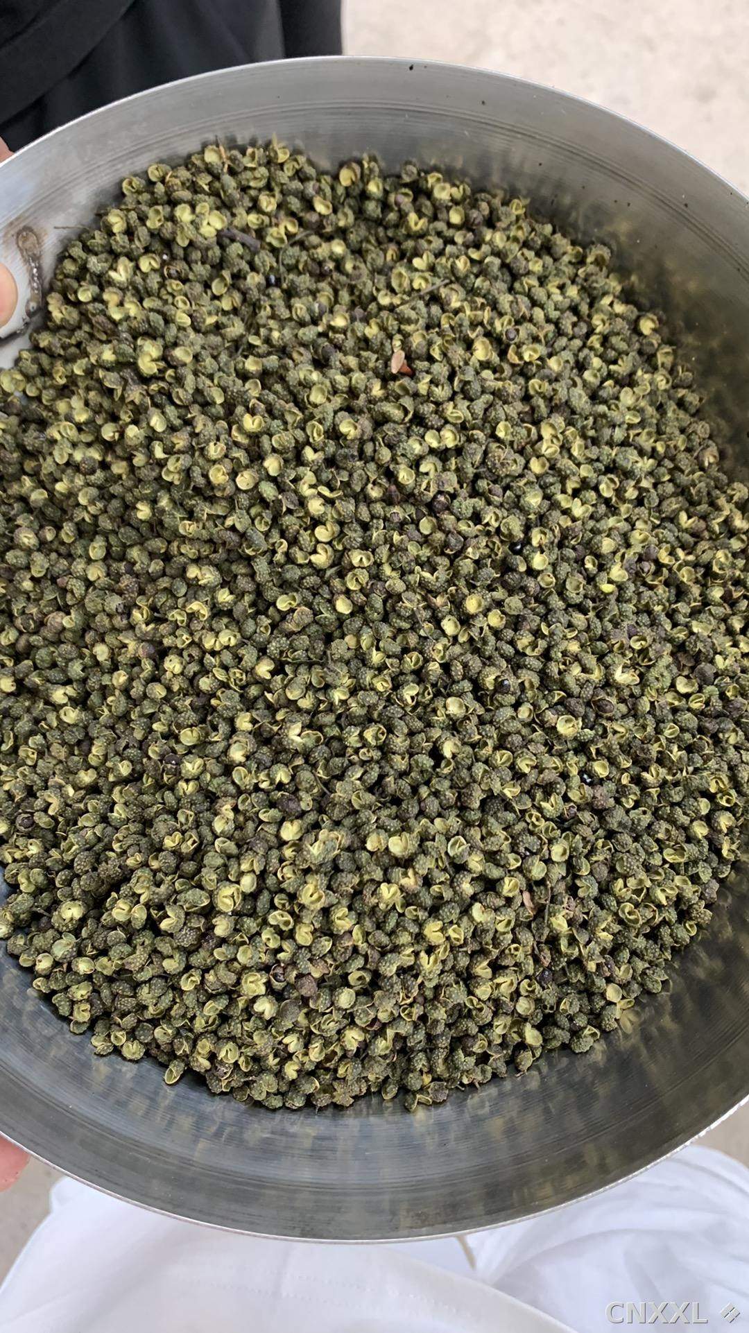 spice_977_209998ab_3.jpg