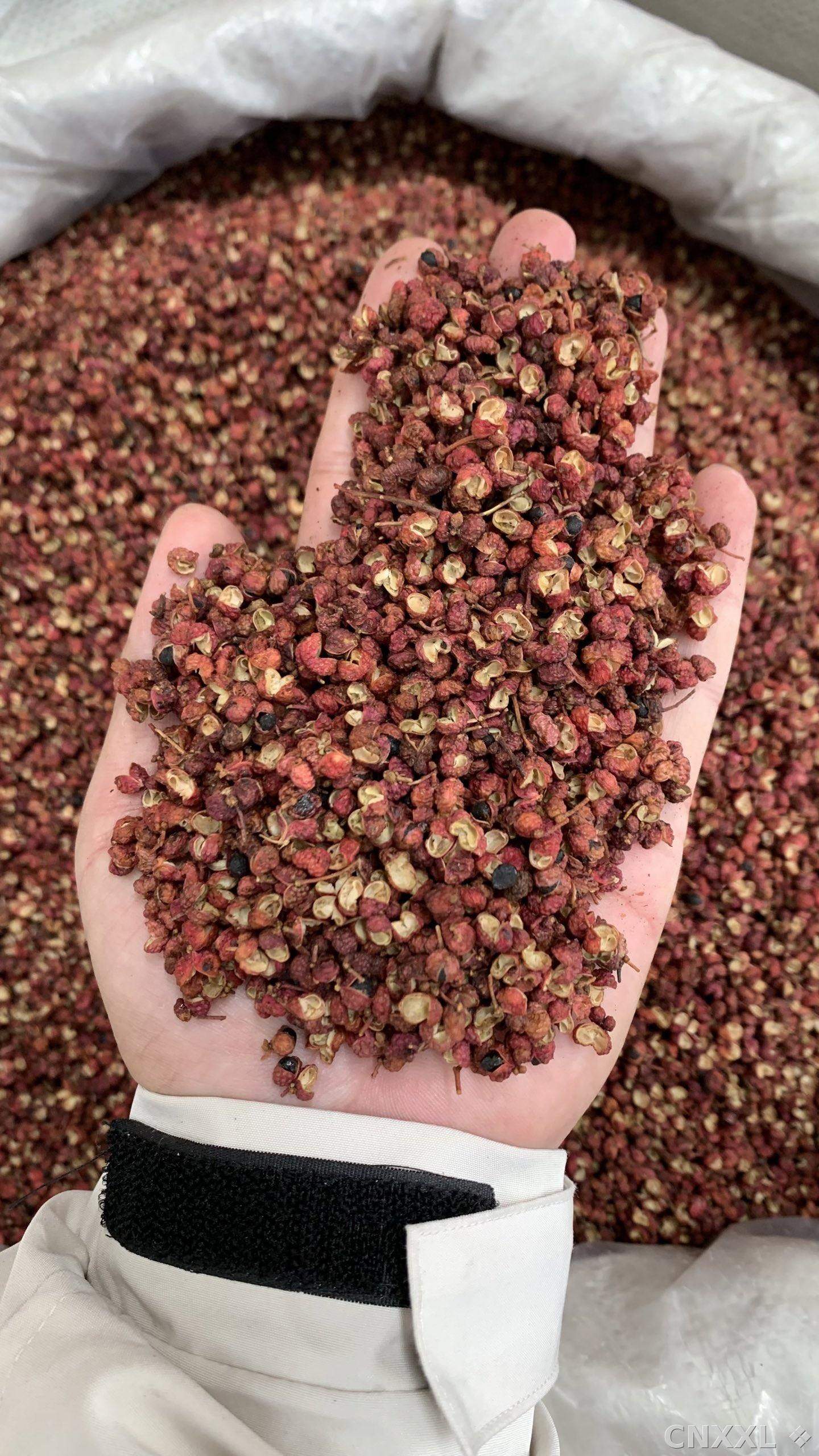 spice_978_4f3ca2ac_3.jpg
