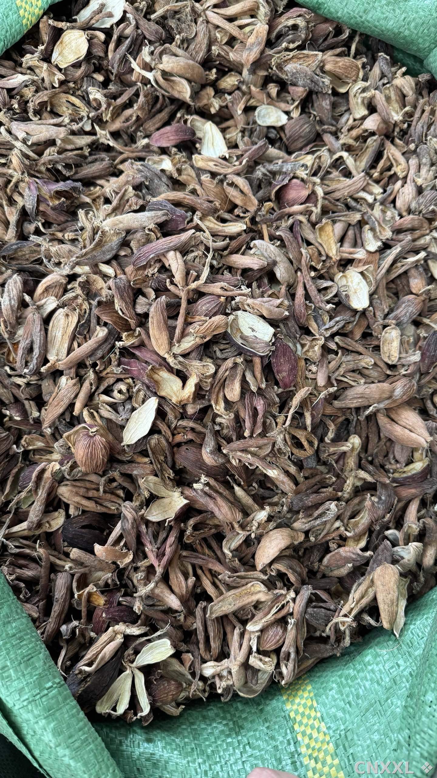 spice_97_b4997d73_3.jpg