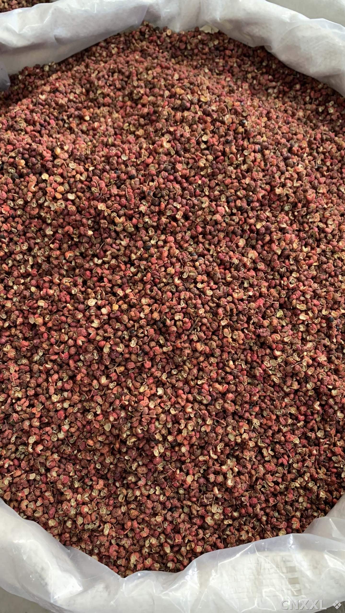 spice_984_1f3aaa10_3.jpg