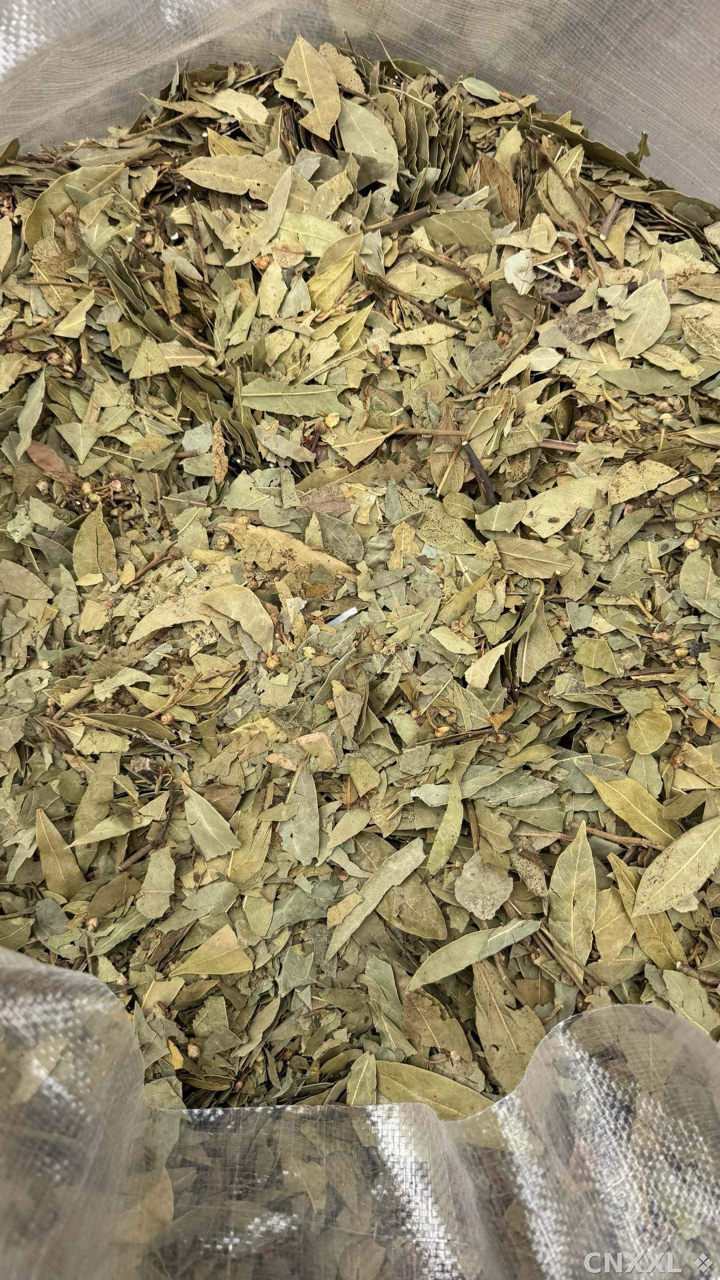 spice_10068_c435271a_3.jpg