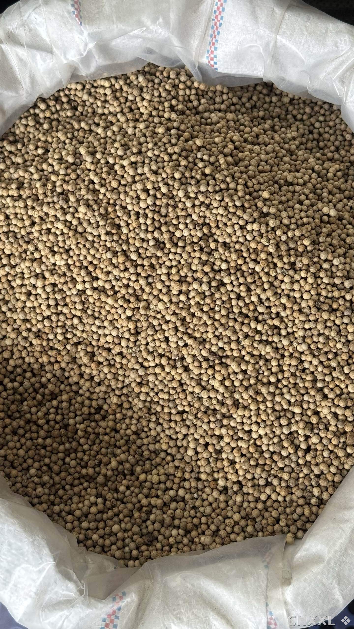 spice_10111_6cfdba2d_3.jpg