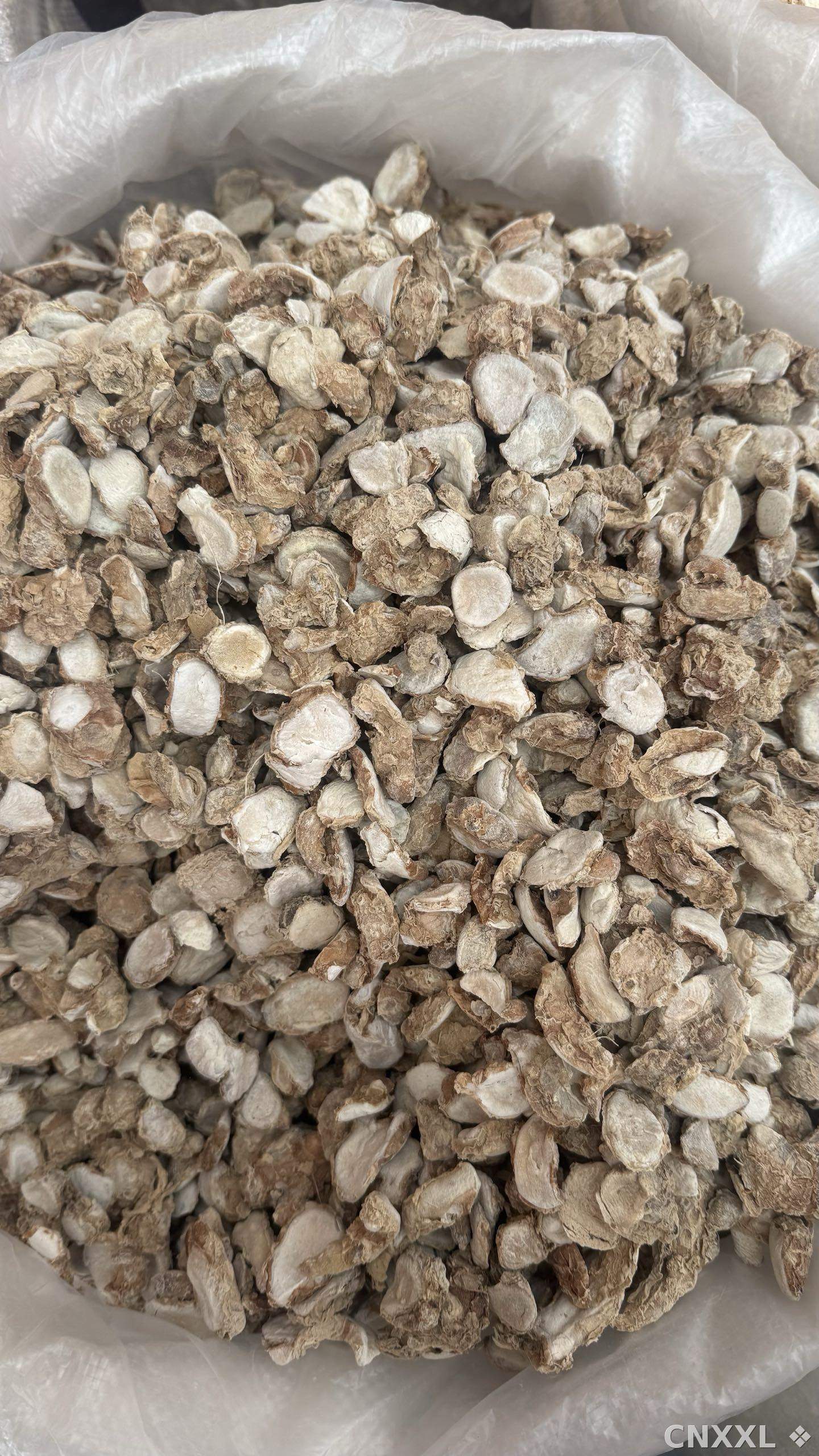 spice_10114_f5fbde9a_1.jpg
