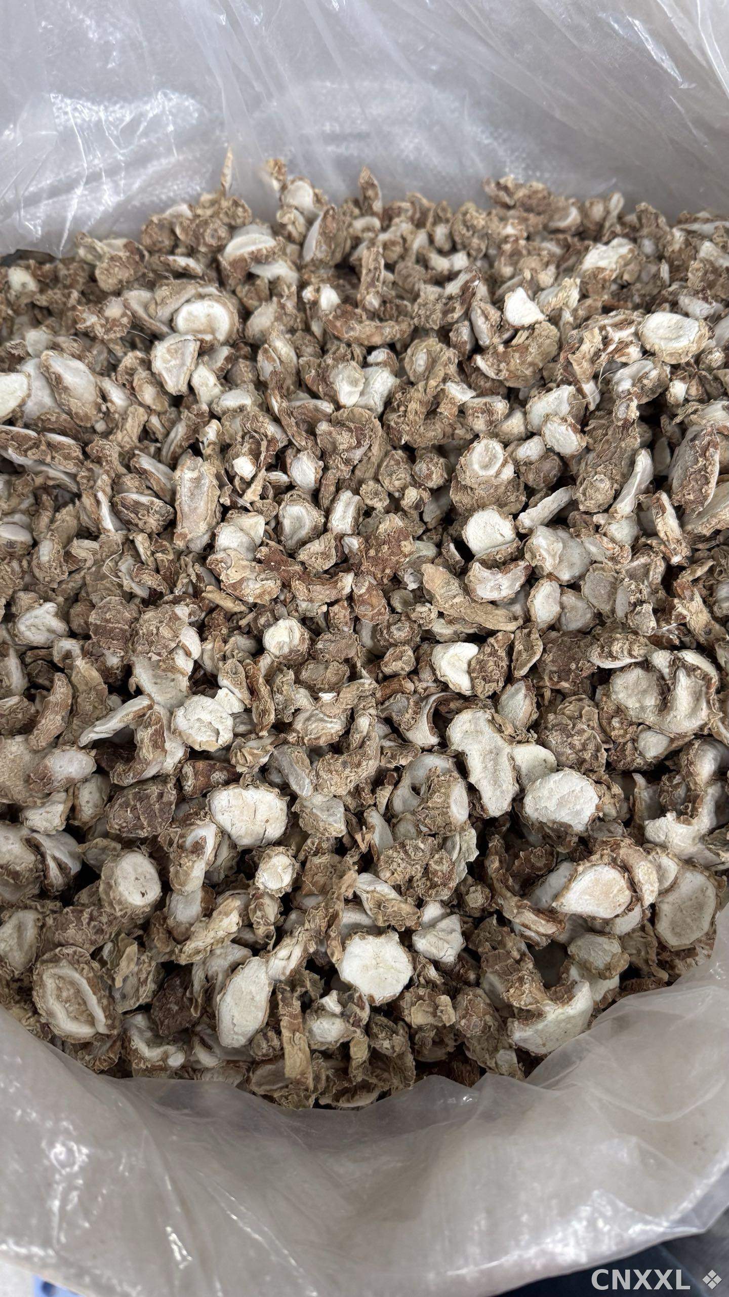 spice_10115_ddcb35bb_3.jpg