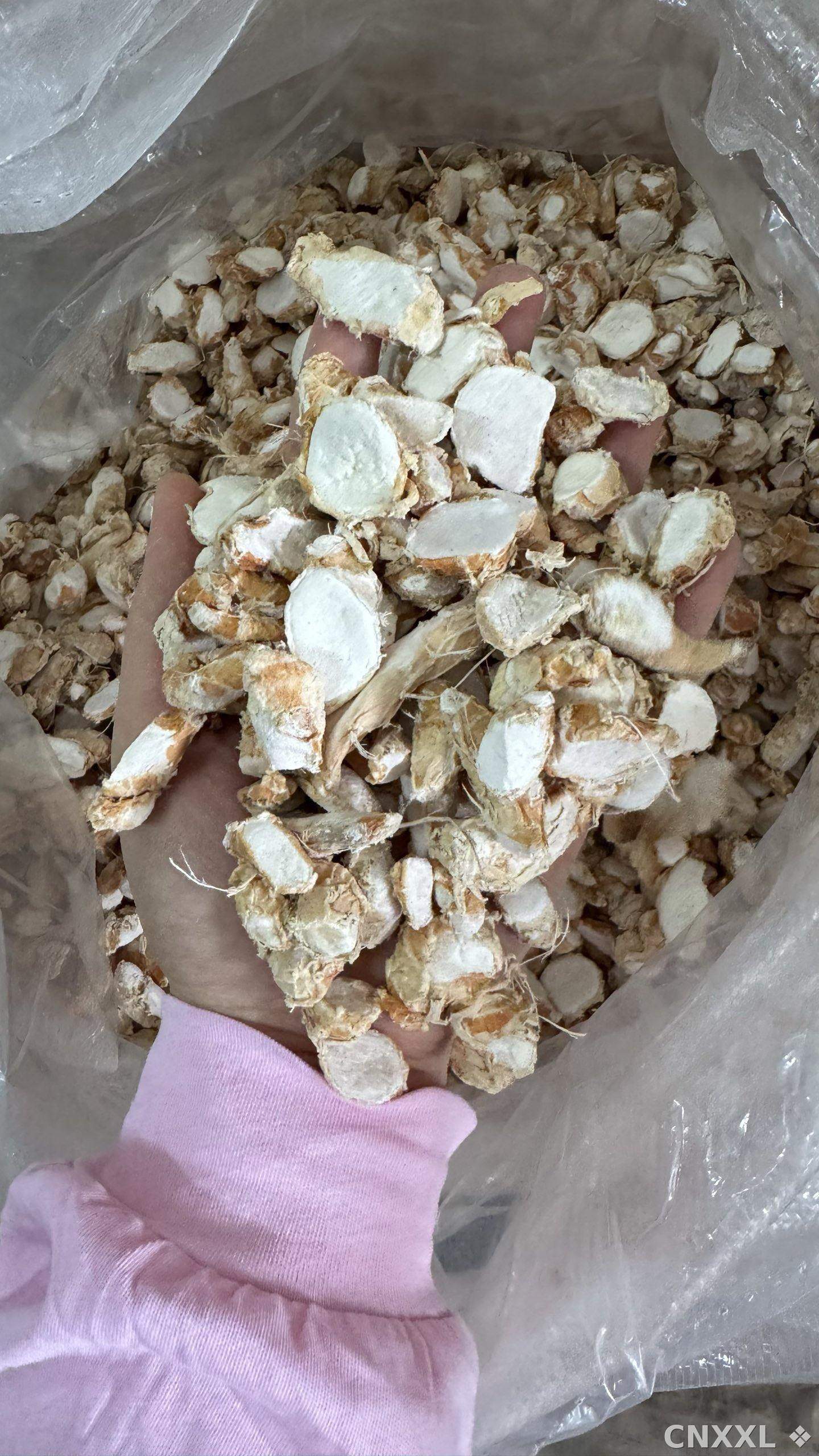 spice_10117_240fe6d4_1.jpg