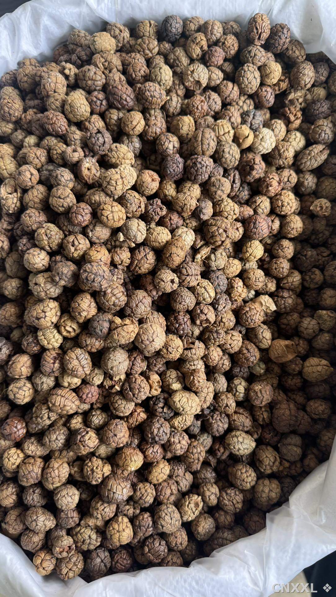 spice_10147_8a8cc121_3.jpg