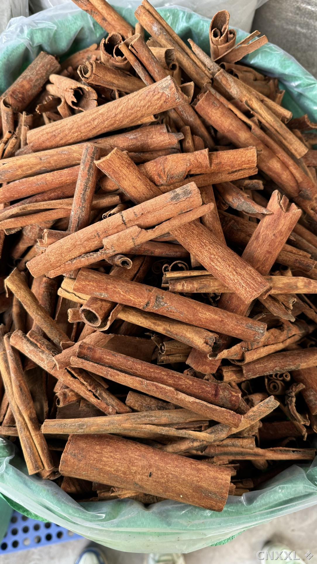 spice_10149_03cb8268_3.jpg
