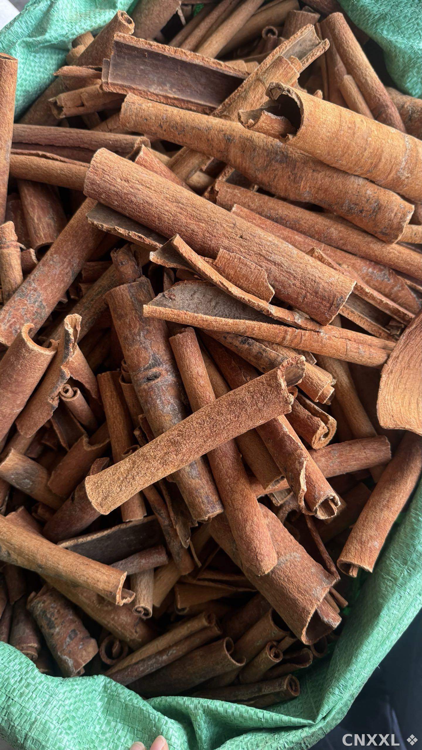 spice_10150_7862ffbb_3.jpg