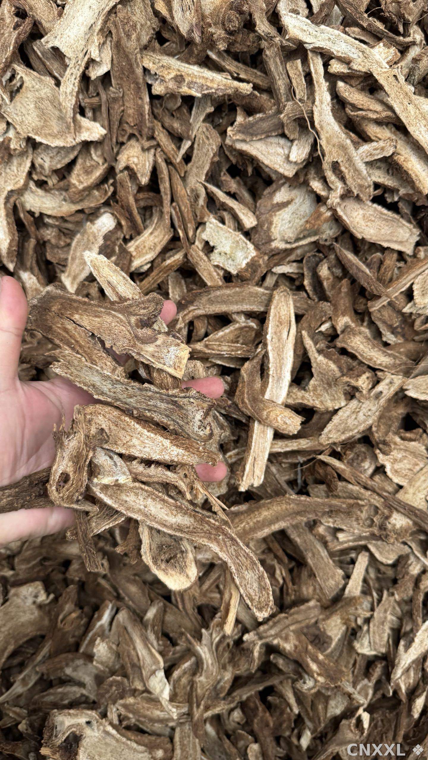 spice_10160_c7110fdc_3.jpg