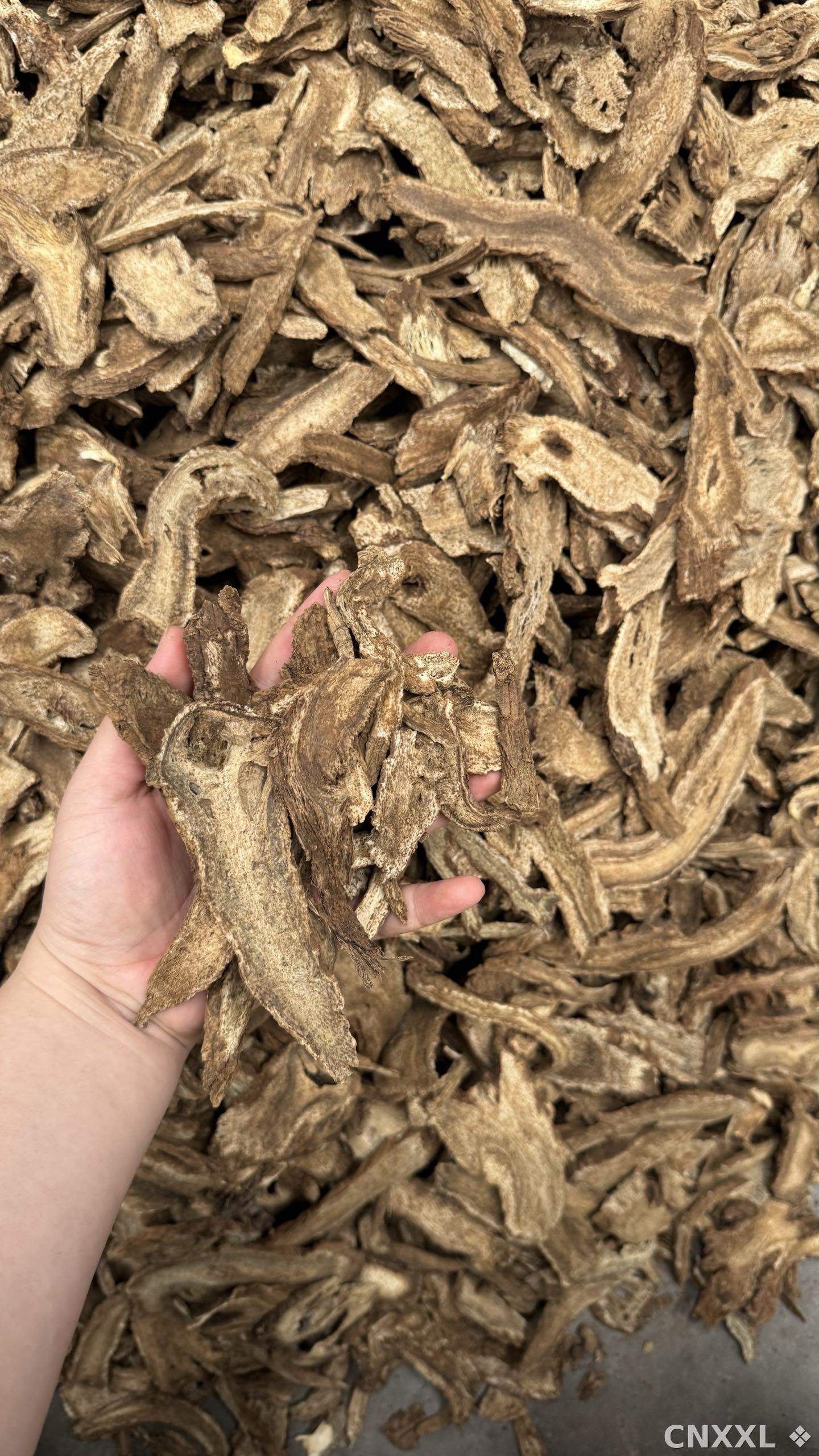 spice_10161_c5be15f8_2.jpg