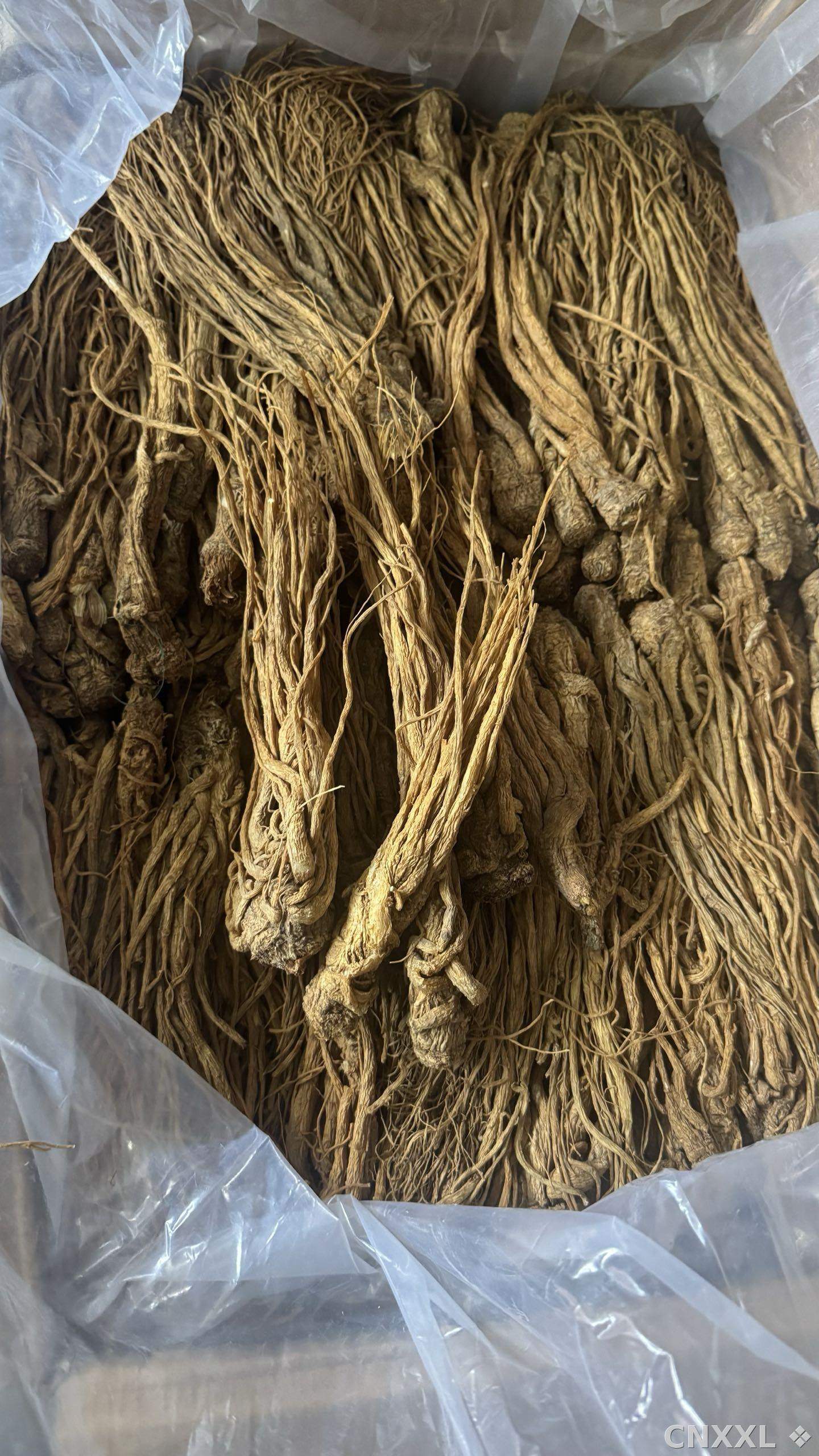 spice_10165_8fa8ad45_2.jpg