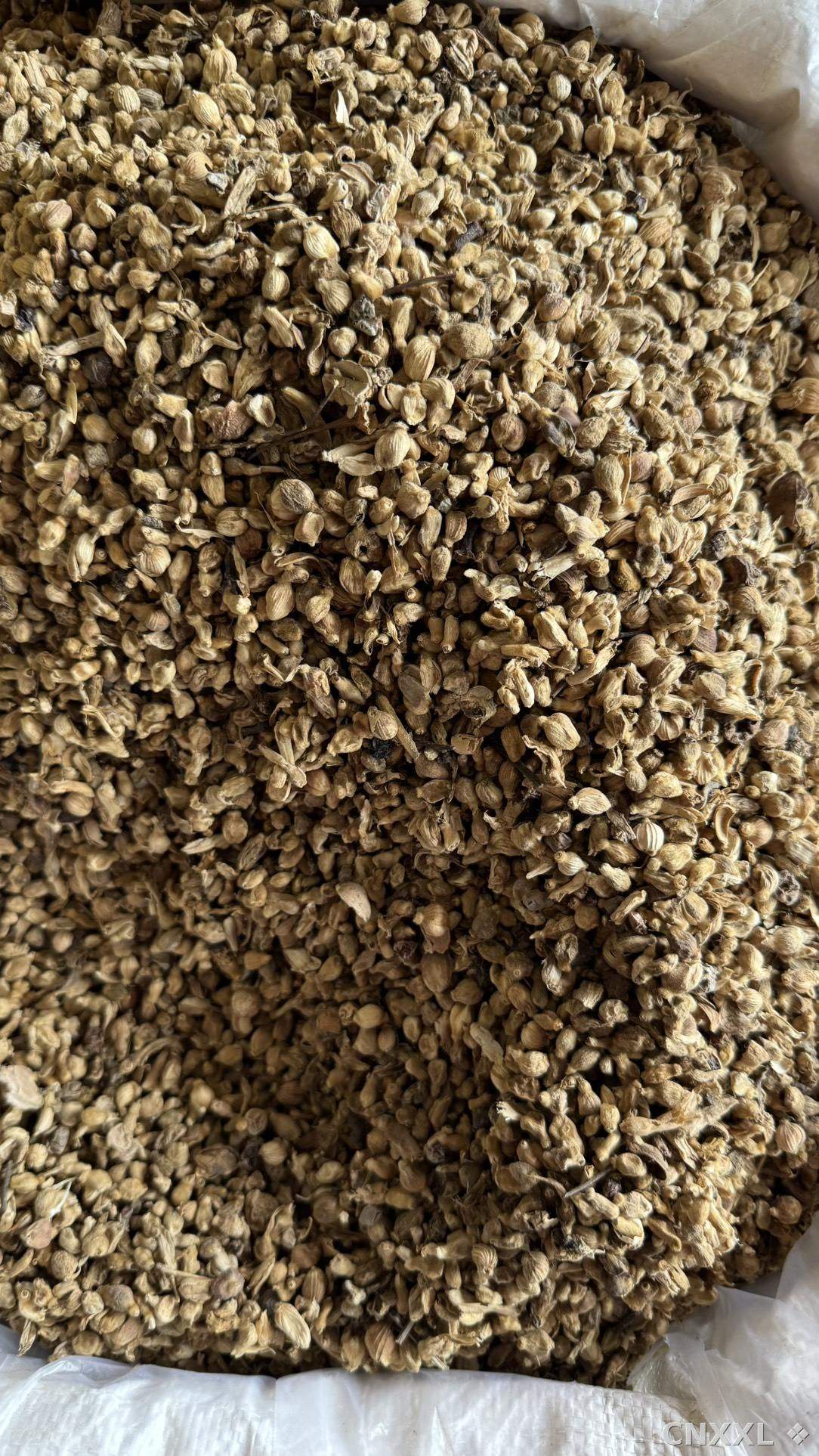 spice_10490_ceebcff3_3.jpg