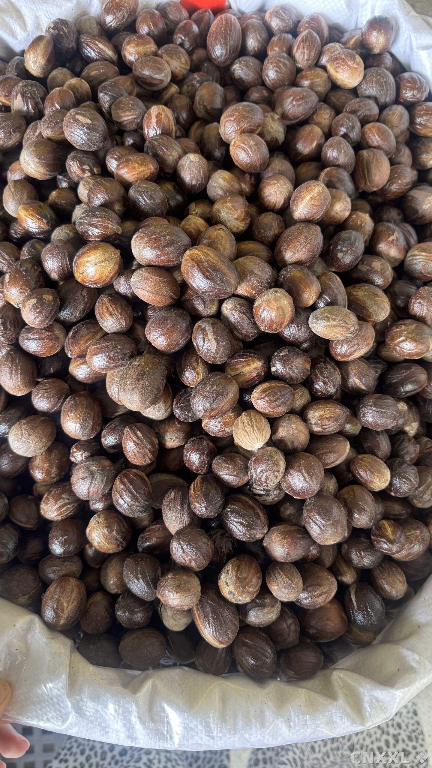 spice_1062666_7b0c076c_3.jpg