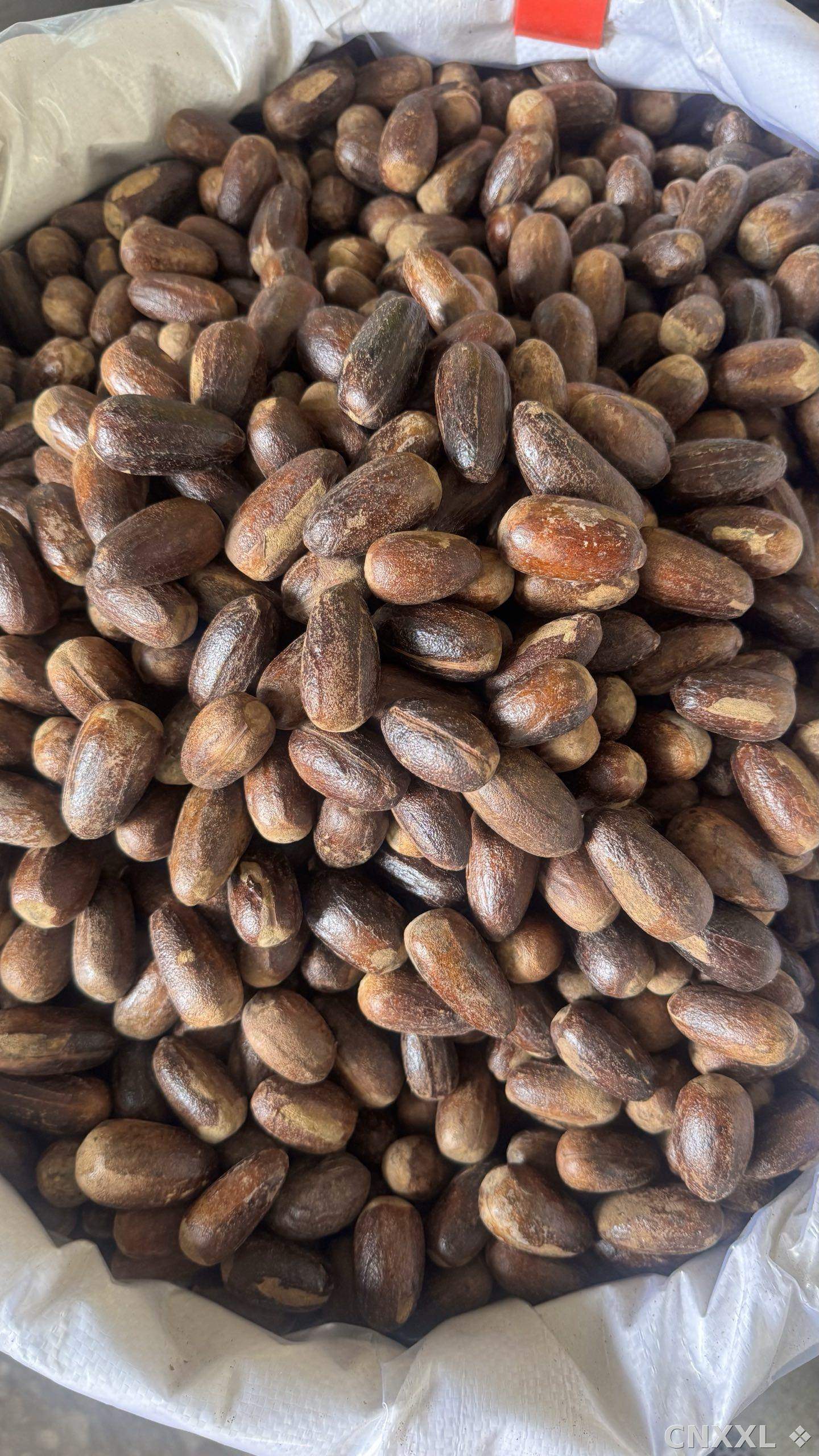 spice_1062667_5bd8dfb6_2.jpg