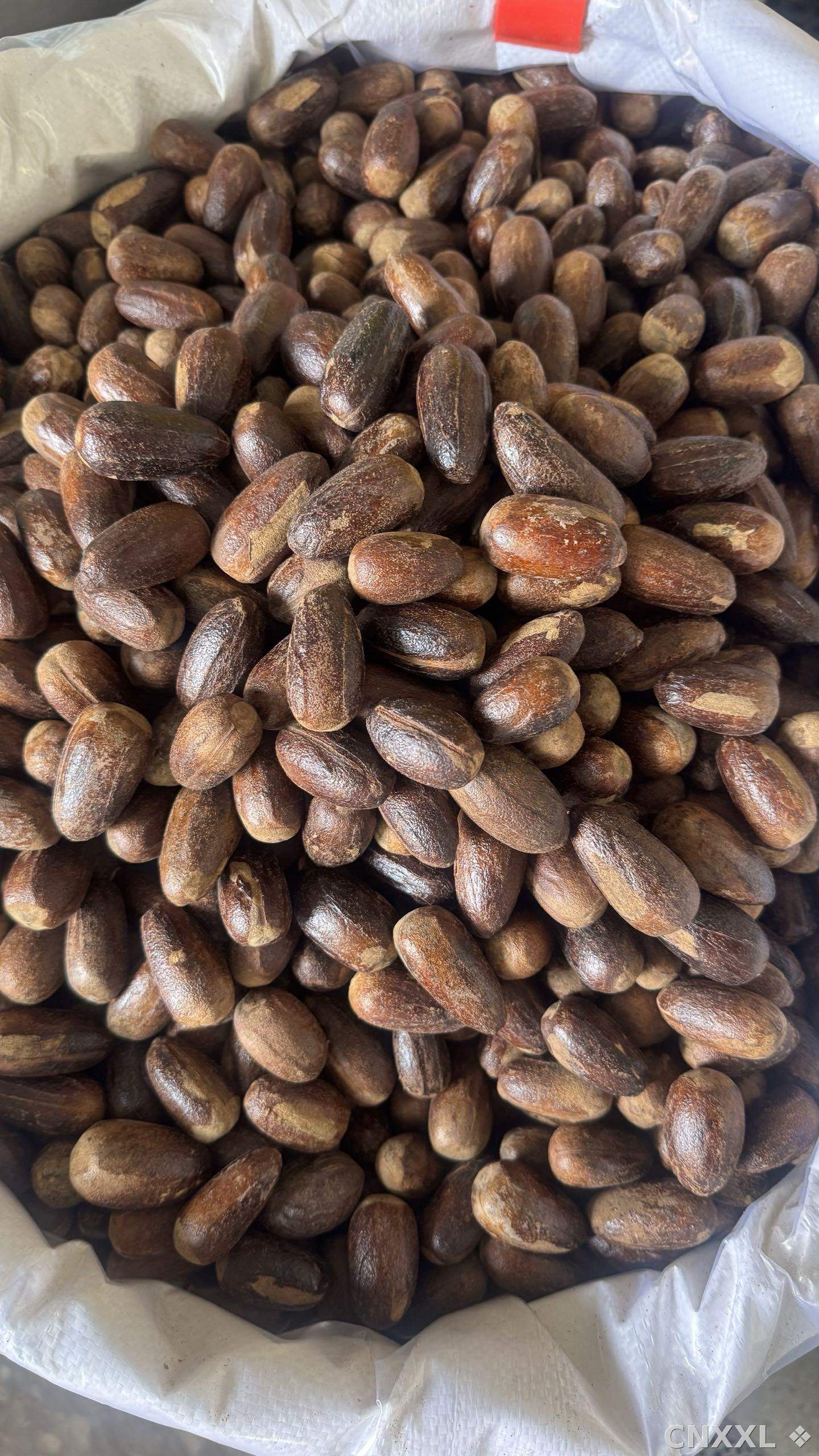 spice_1062667_855ac18f_3.jpg