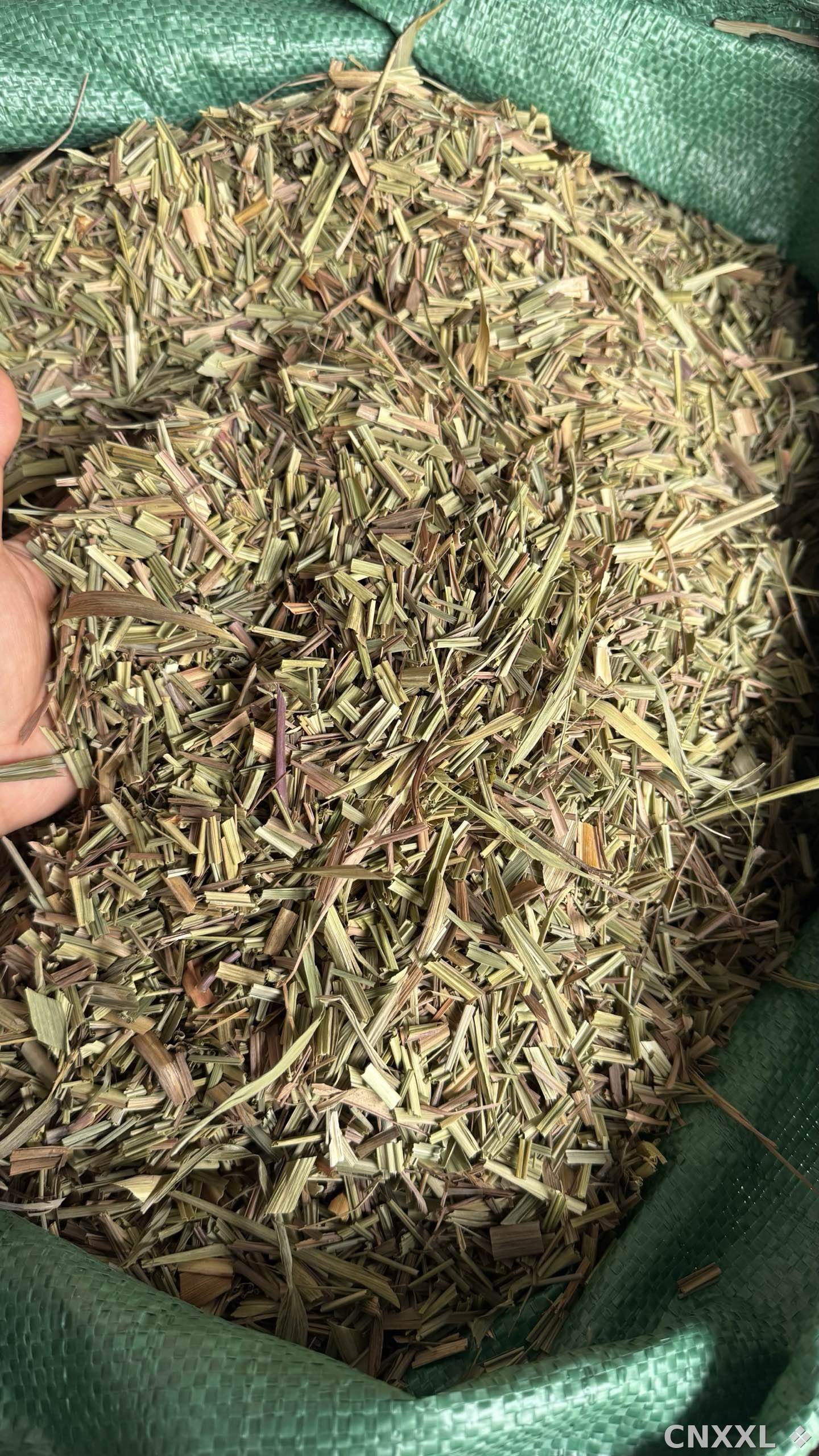 spice_10678_c20db50b_3.jpg