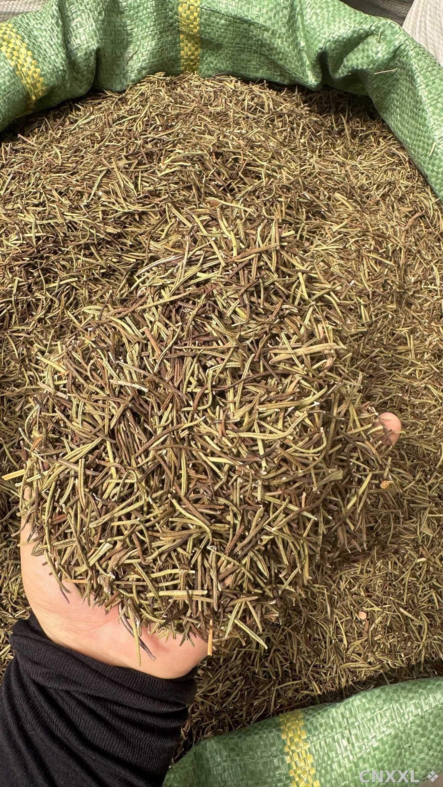 spice_10680_c098faad_2.jpg