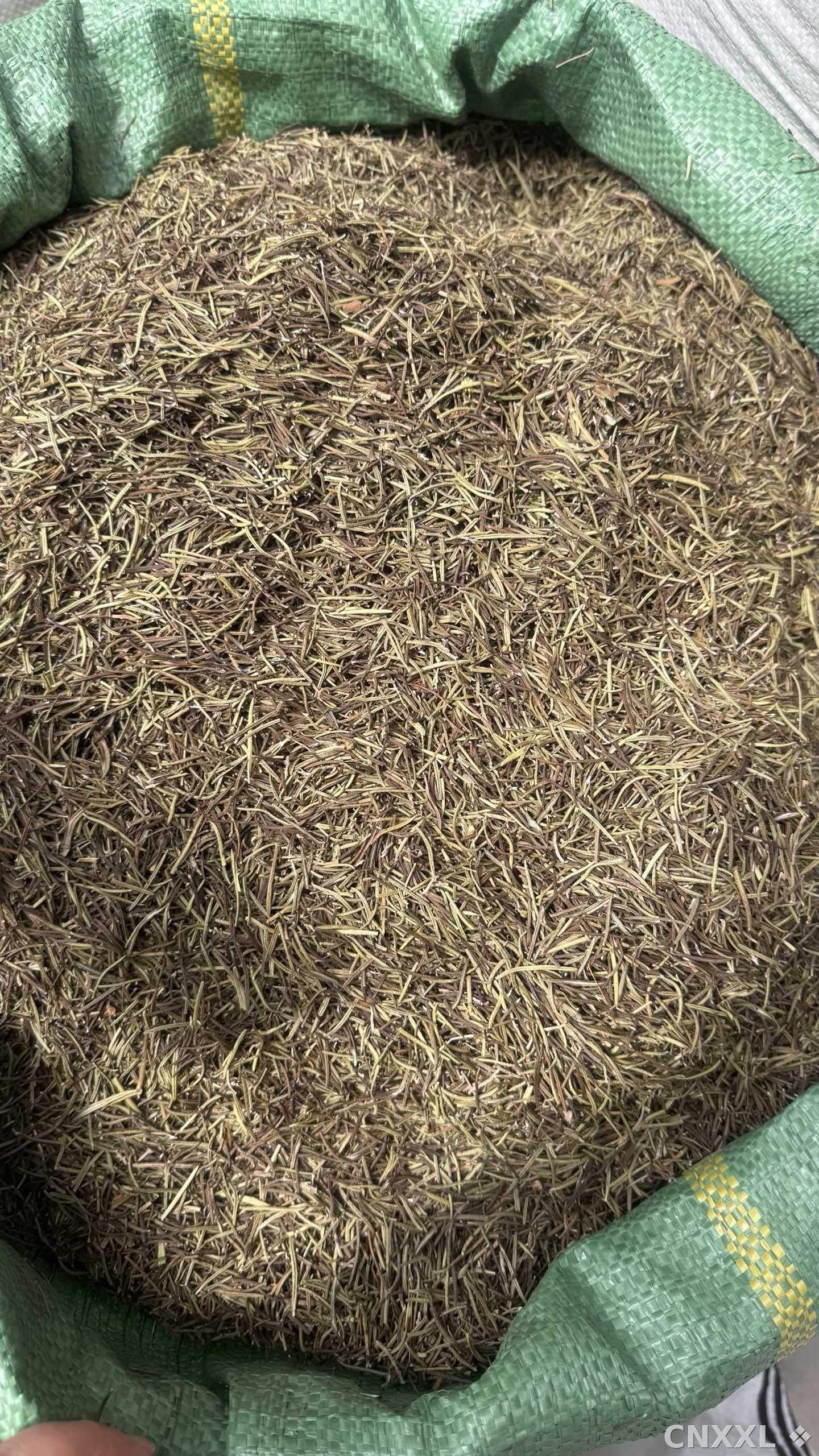 spice_10680_cd0c7bdc_3.jpg