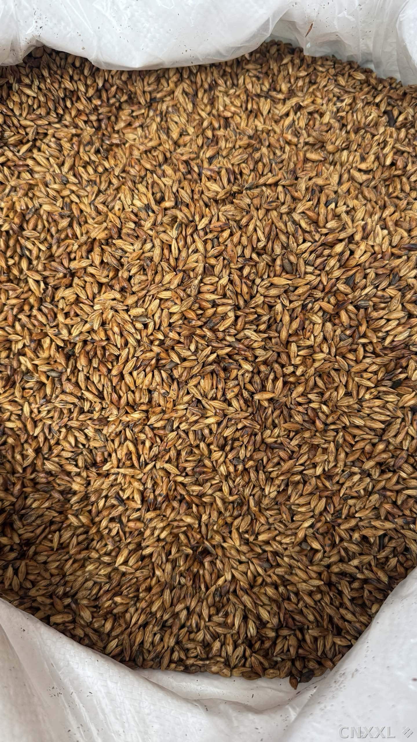 spice_10682_3d6c24c0_3.jpg