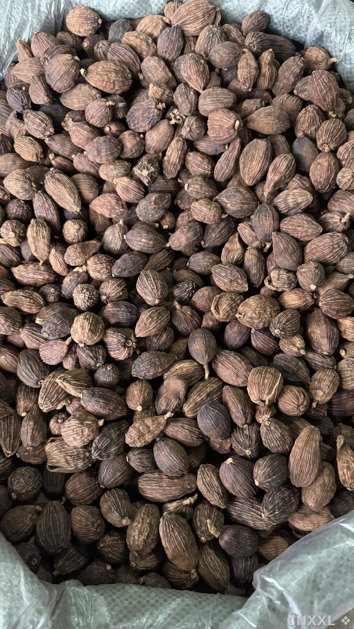 spice_10693_95c7dbde_3.jpg