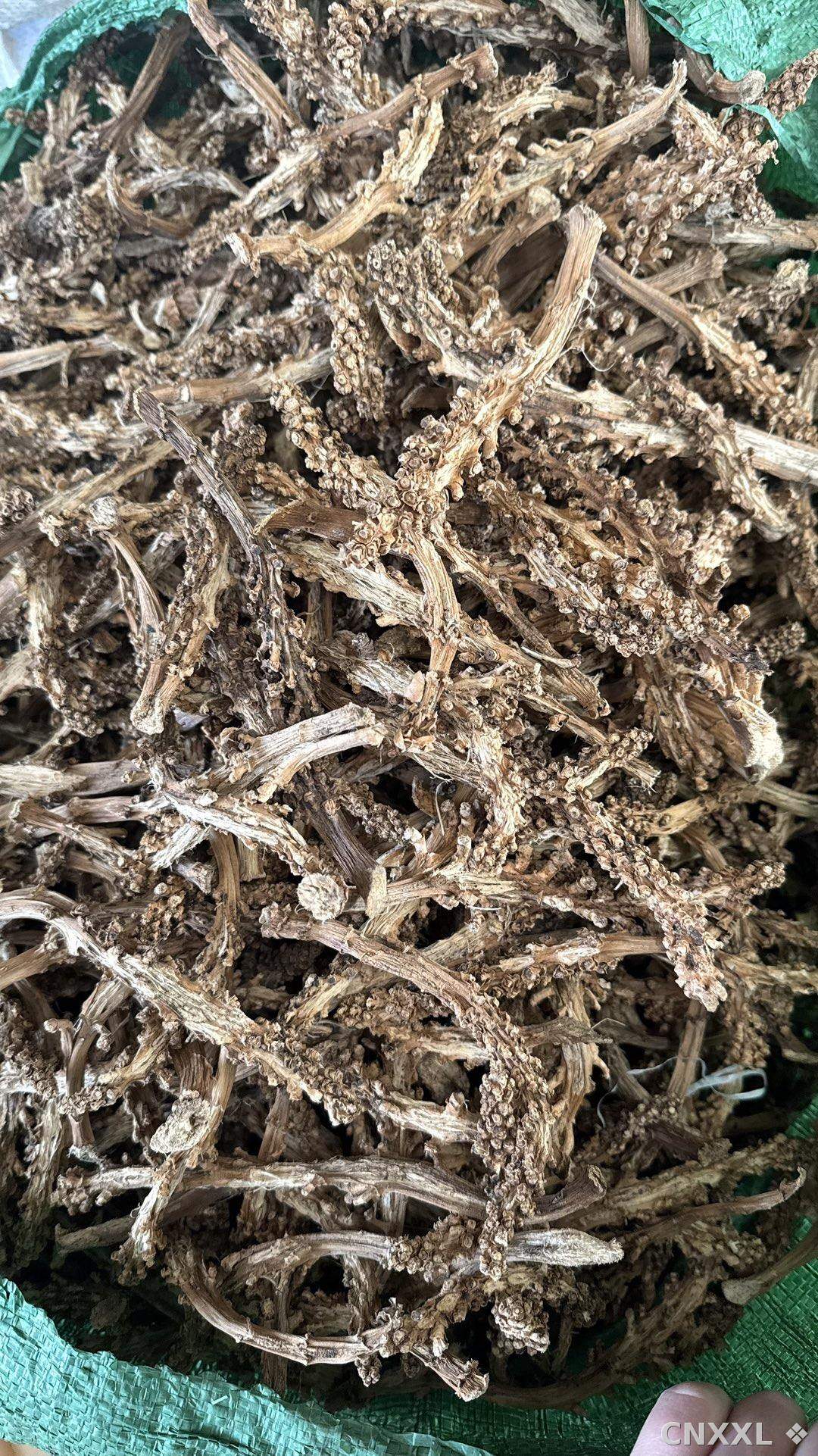 spice_10699_79de79d7_3.jpg