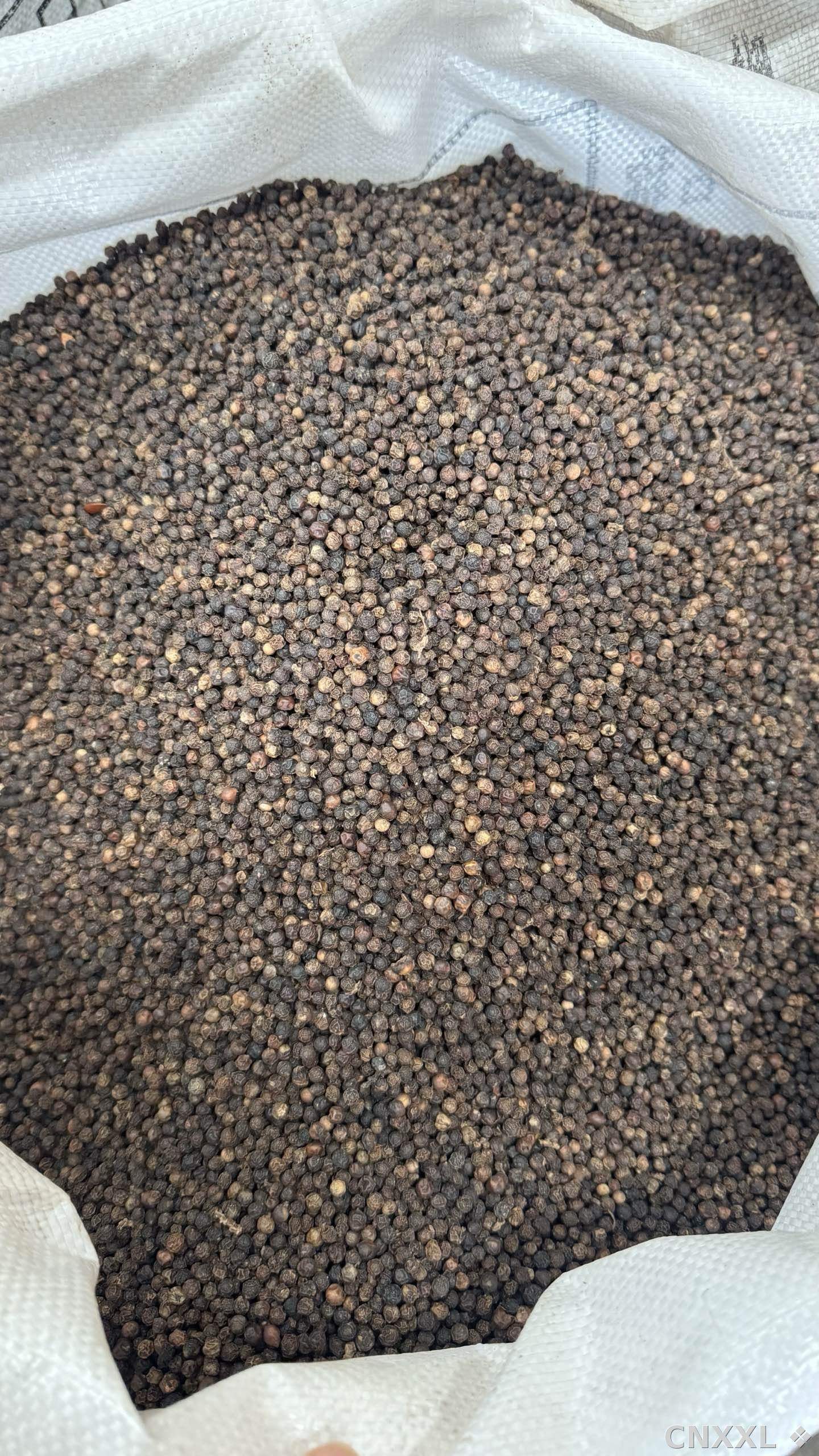 spice_10711_6b0853d9_3.jpg