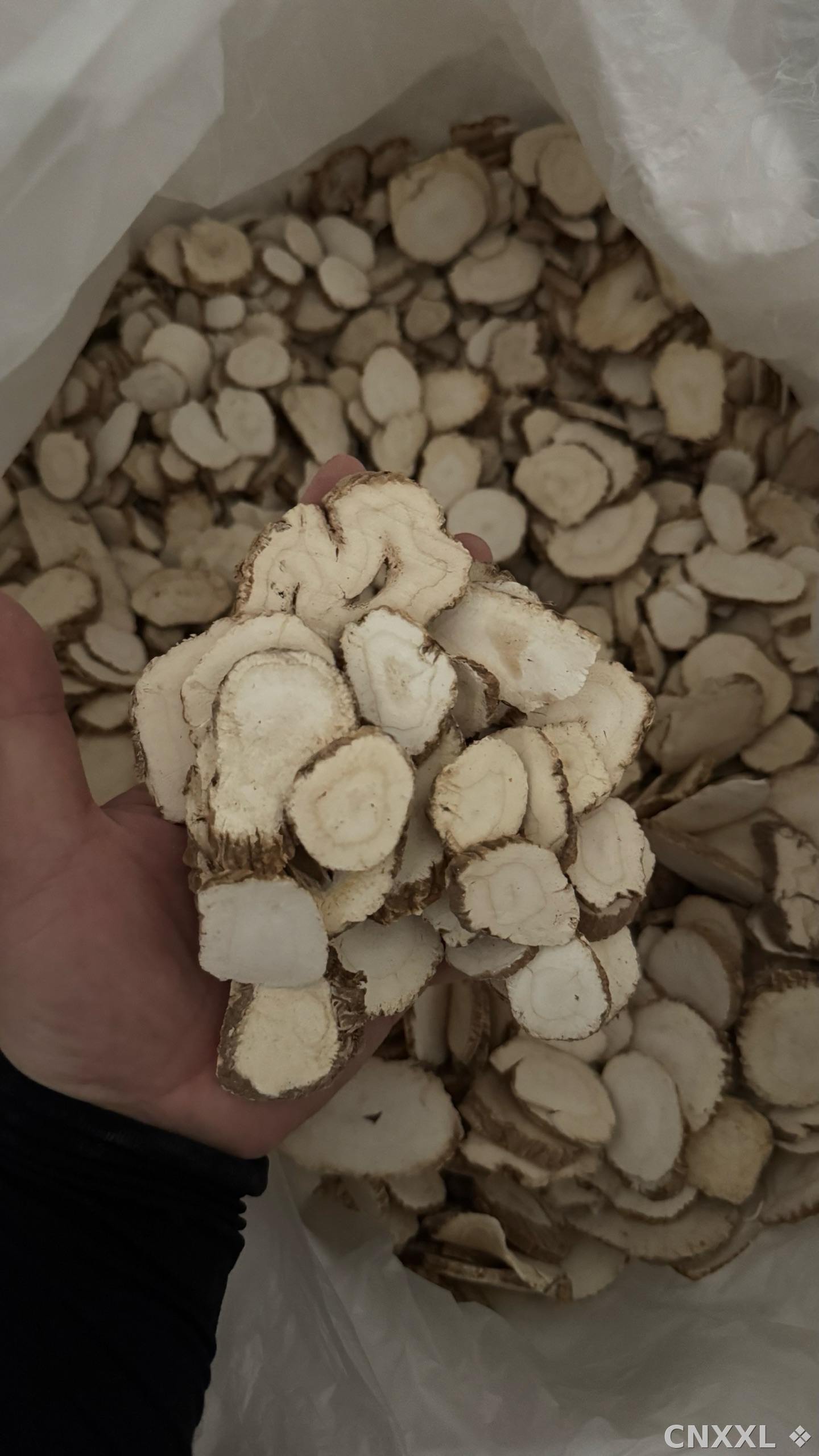 spice_10720_46f20940_1.jpg