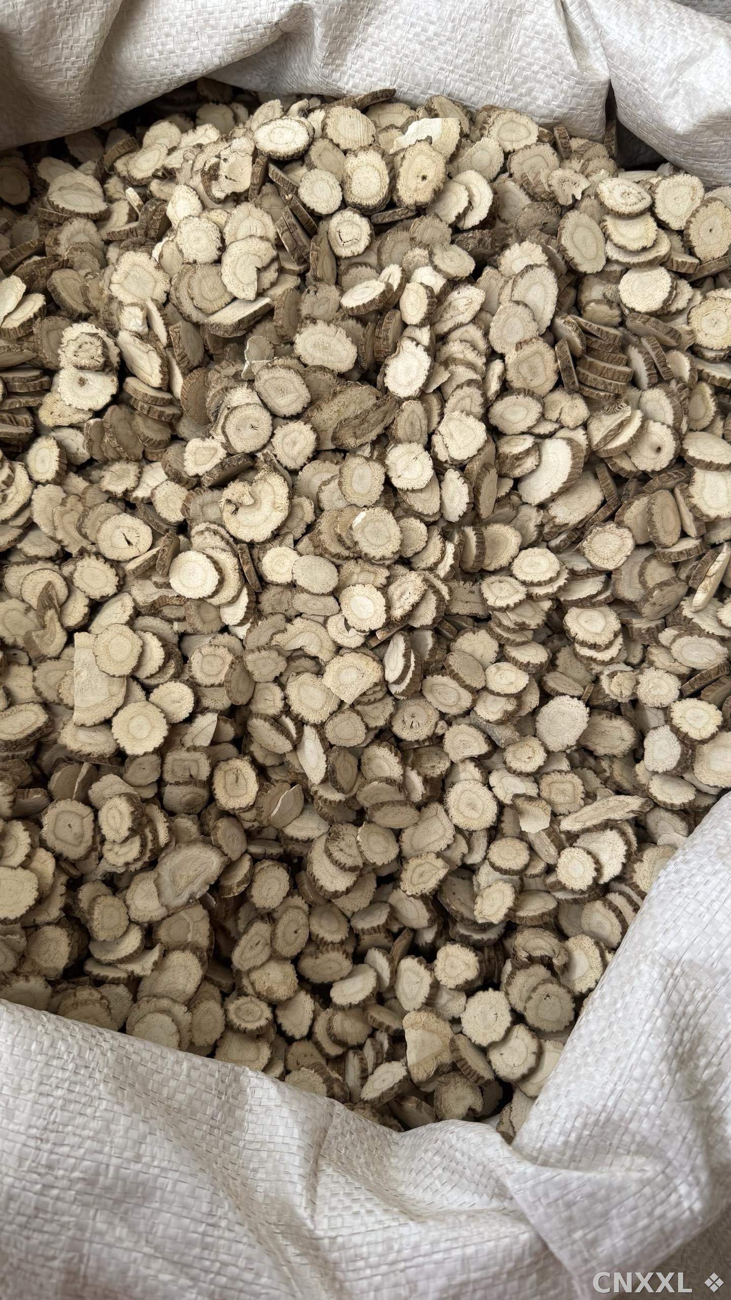 spice_10721_b6a2d5a0_3.jpg