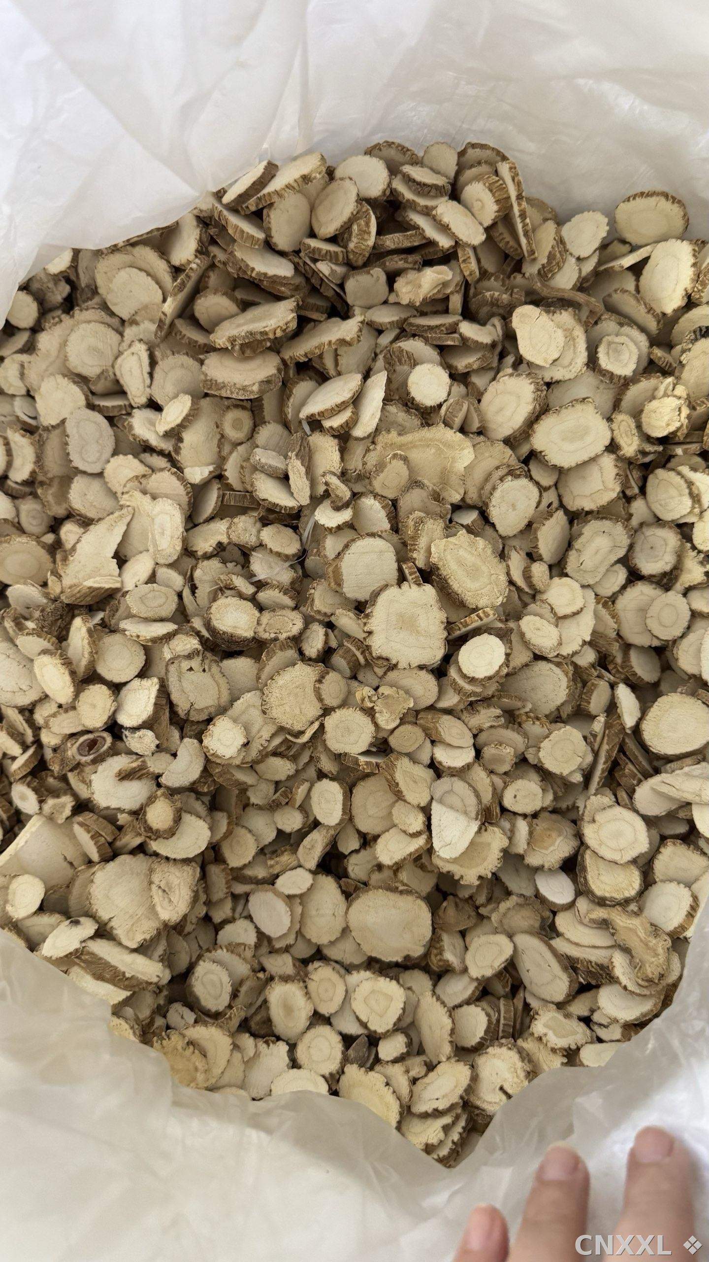 spice_10722_21f0d388_3.jpg
