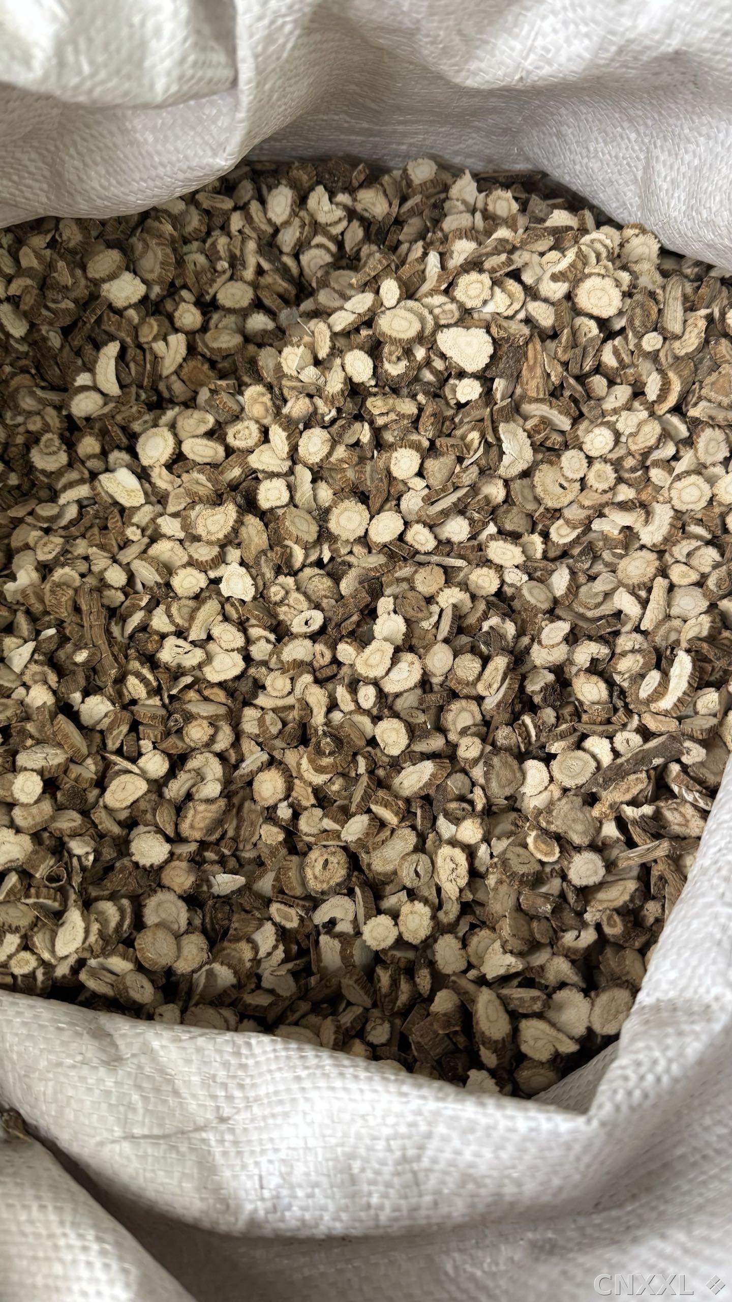spice_10723_2f558853_3.jpg