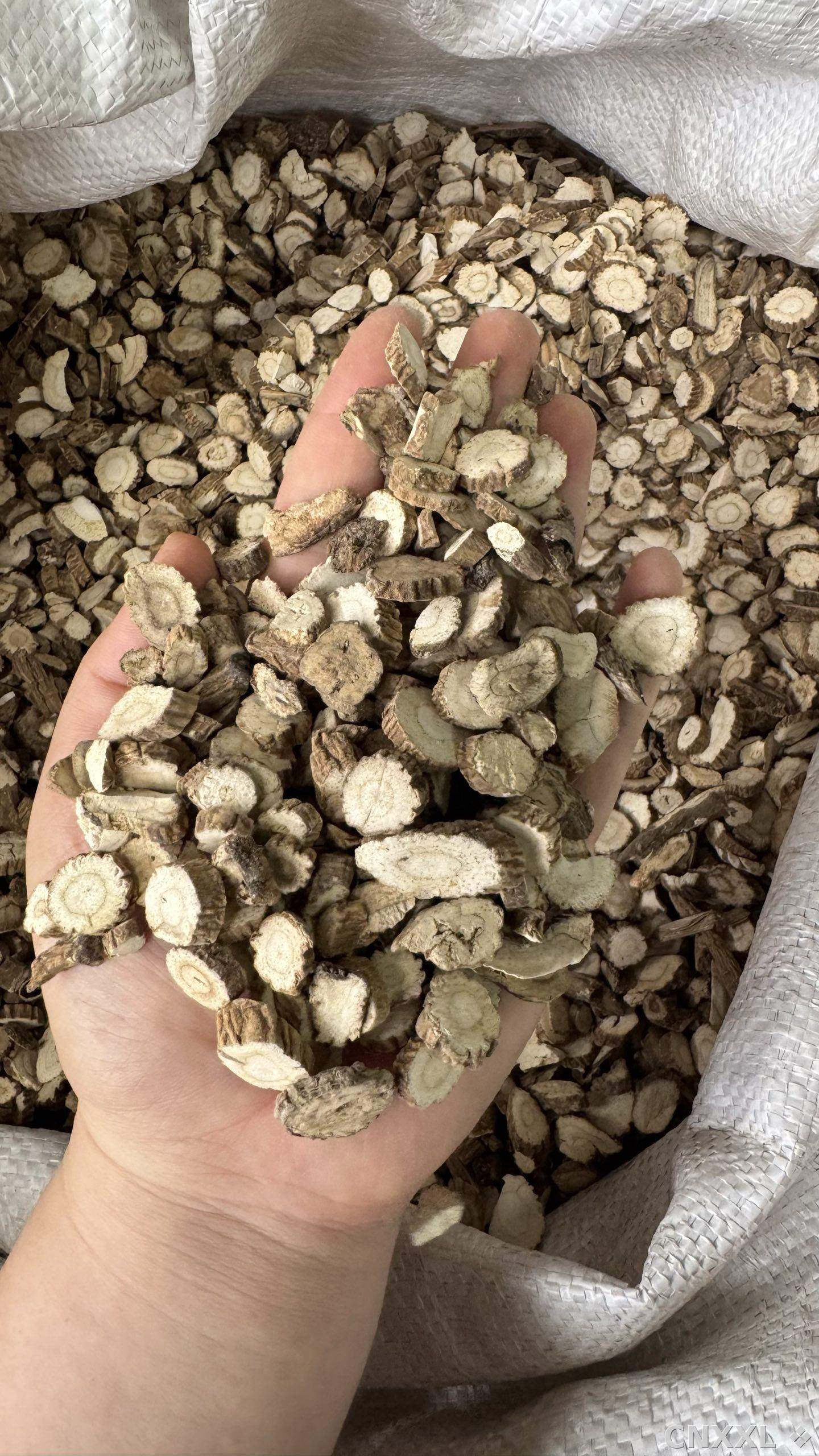 spice_10723_316f26c0_1.jpg