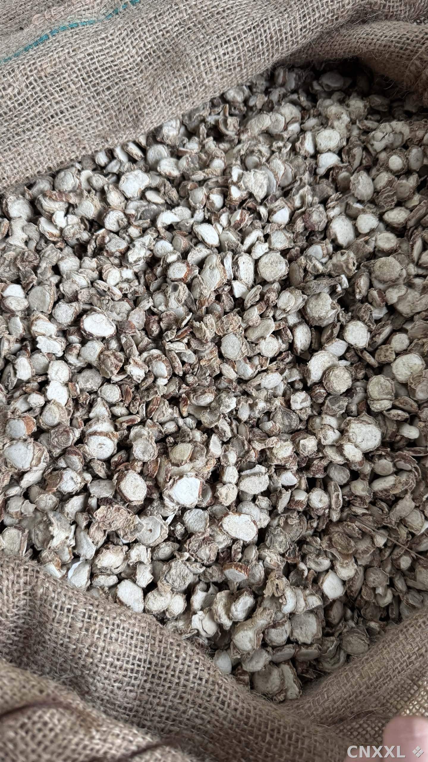 spice_10741_f1c50950_3.jpg