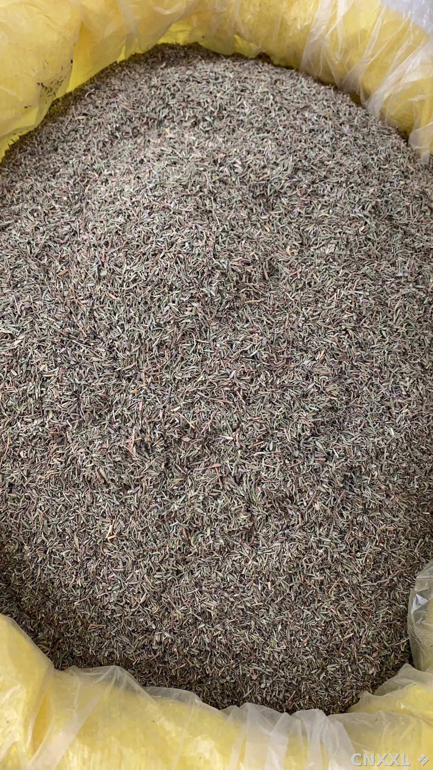 spice_10747_e5b6e221_3.jpg