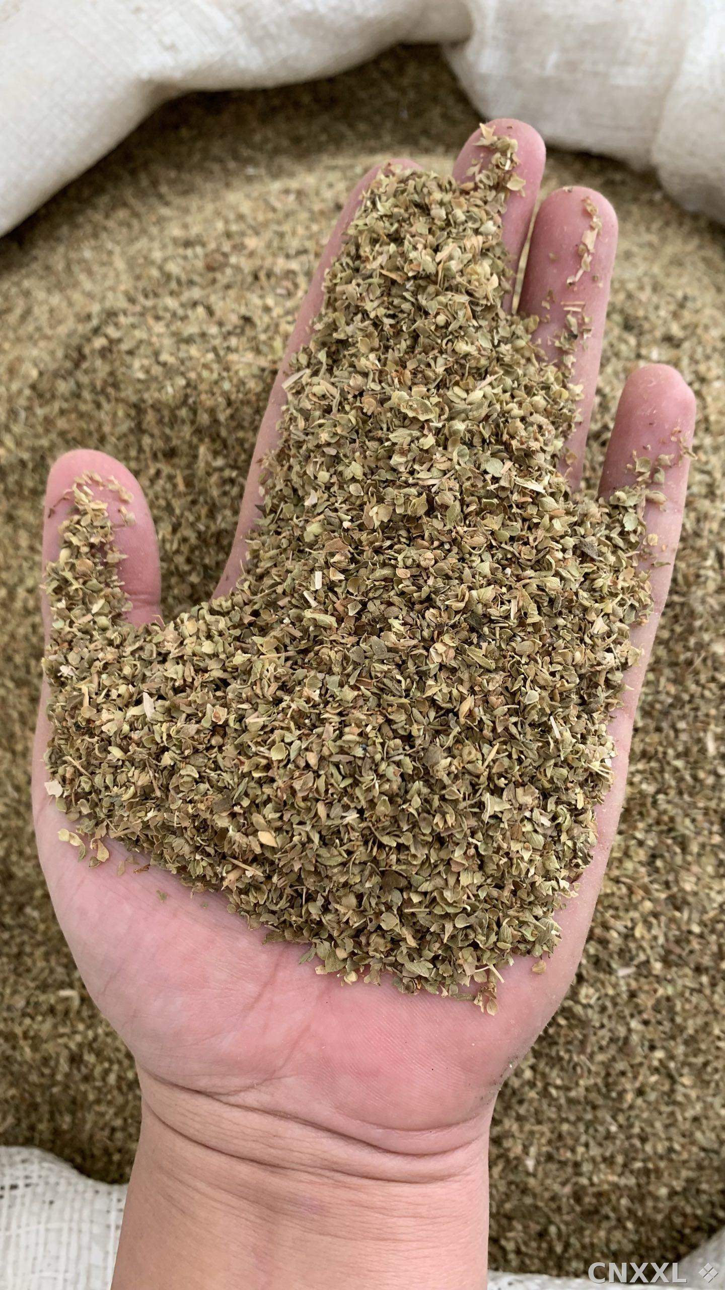 spice_10750_2b54c54c_1.jpg