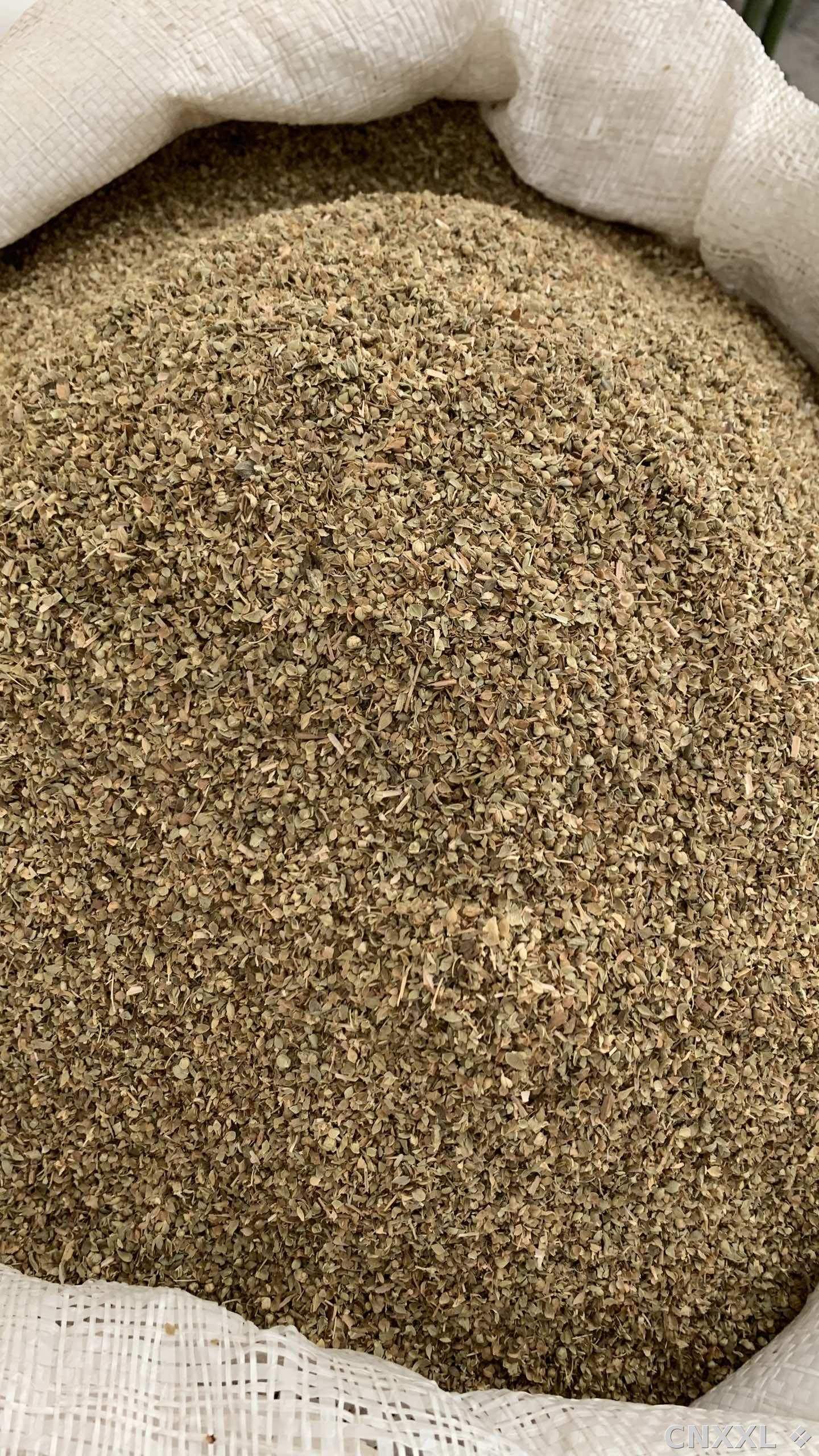 spice_10750_6f766f48_3.jpg