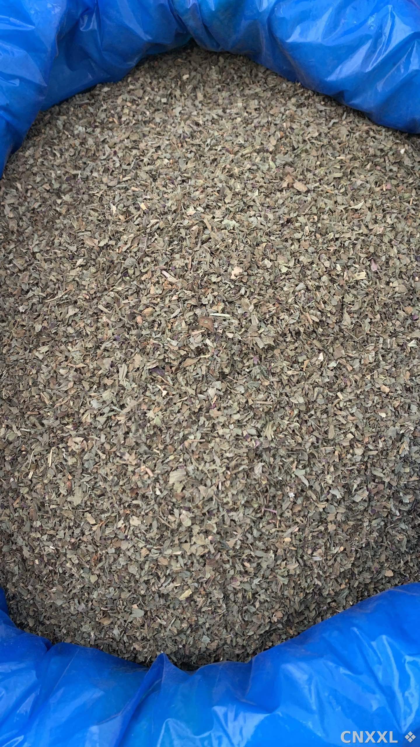 spice_10754_7491daeb_3.jpg