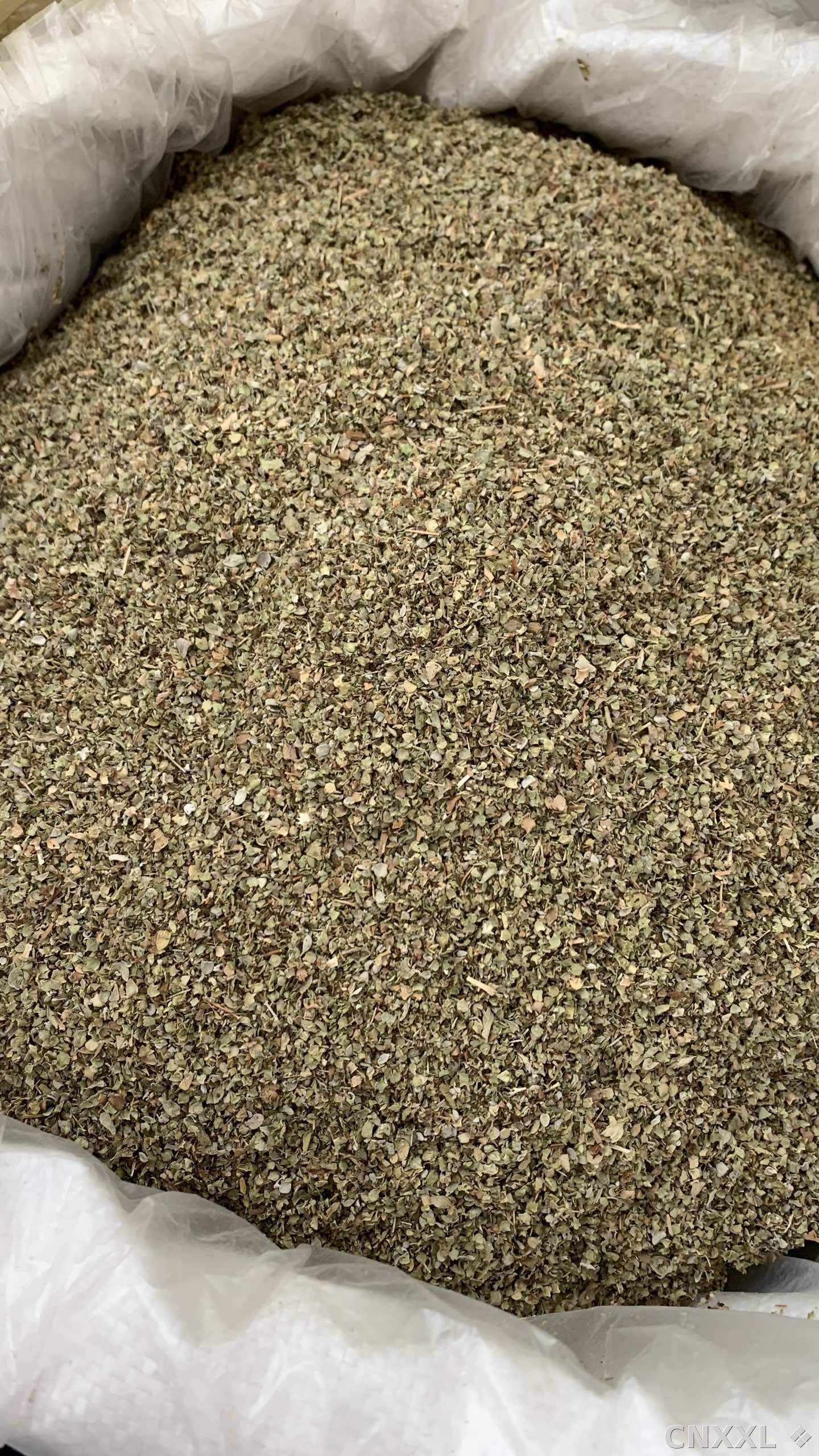spice_10758_55f80467_3.jpg