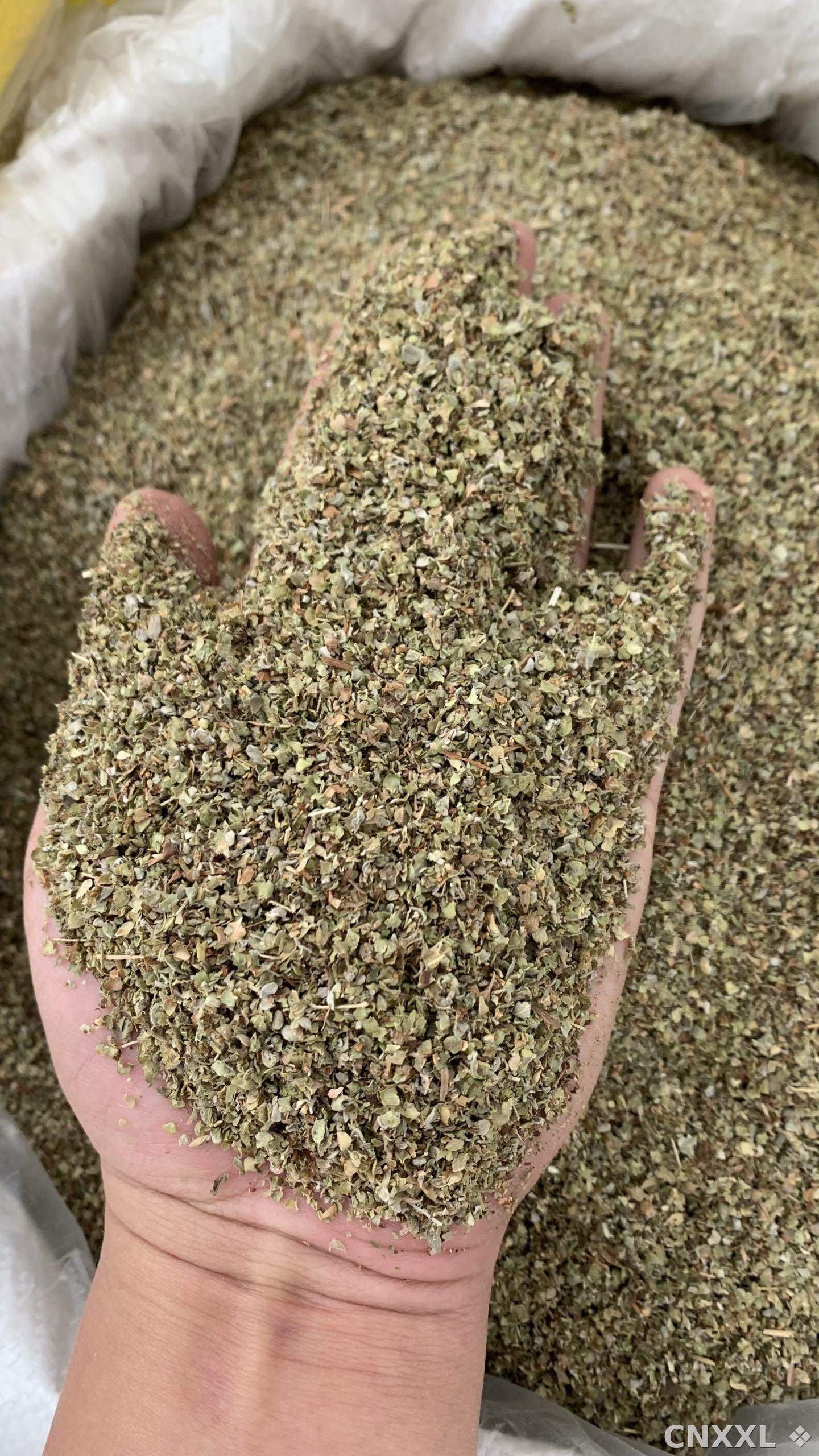 spice_10758_9382cdd4_1.jpg
