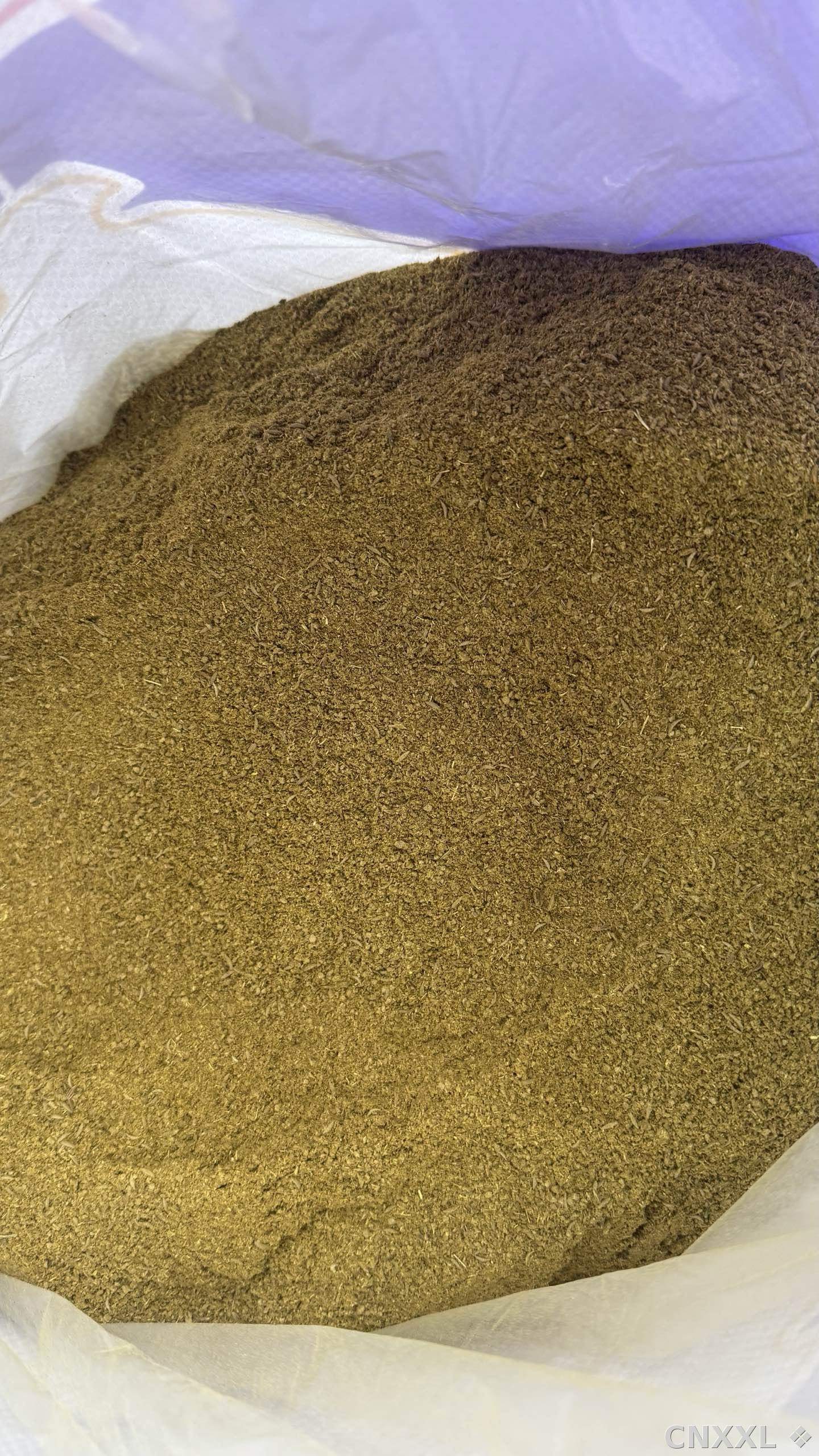 spice_10901_5c71d29f_2.jpg