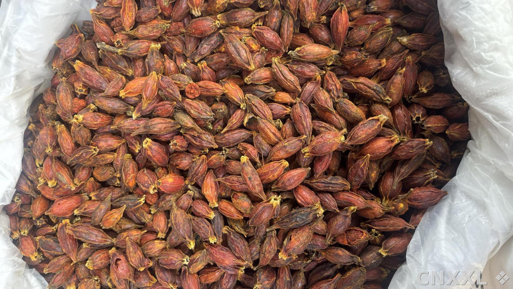 spice_1095163_c843a638_3.jpg
