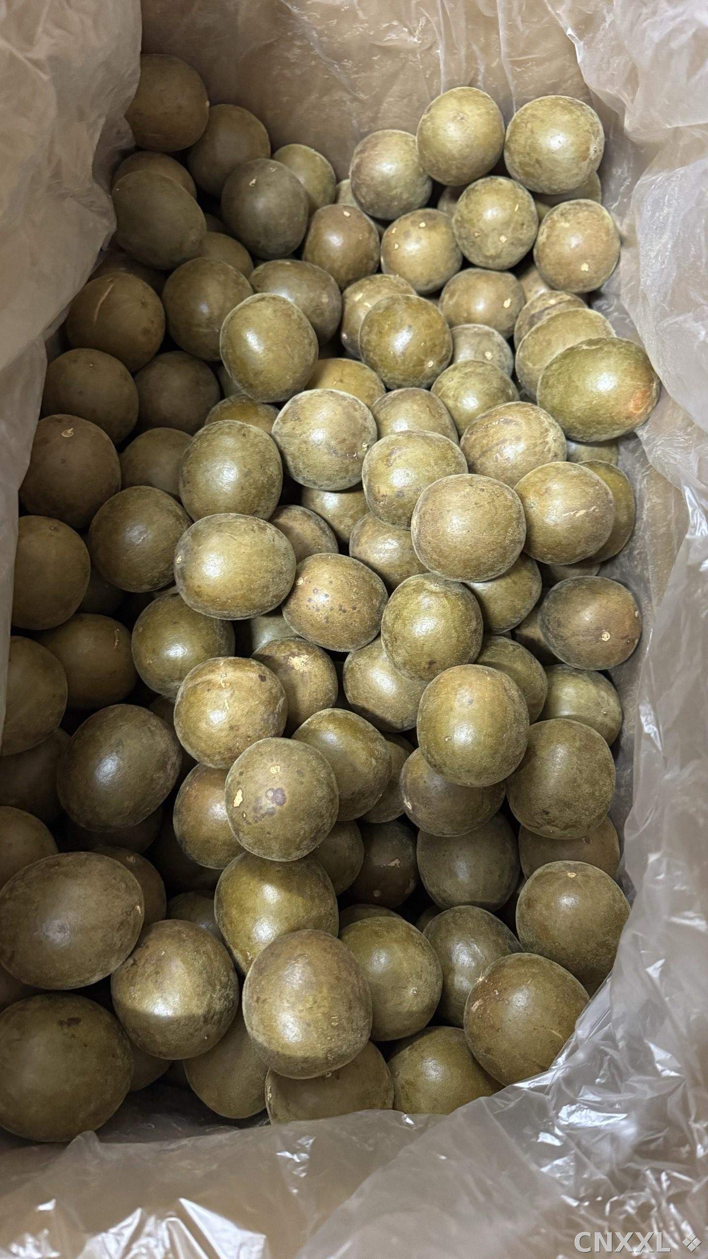 spice_11158_2fda46ca_3.jpg