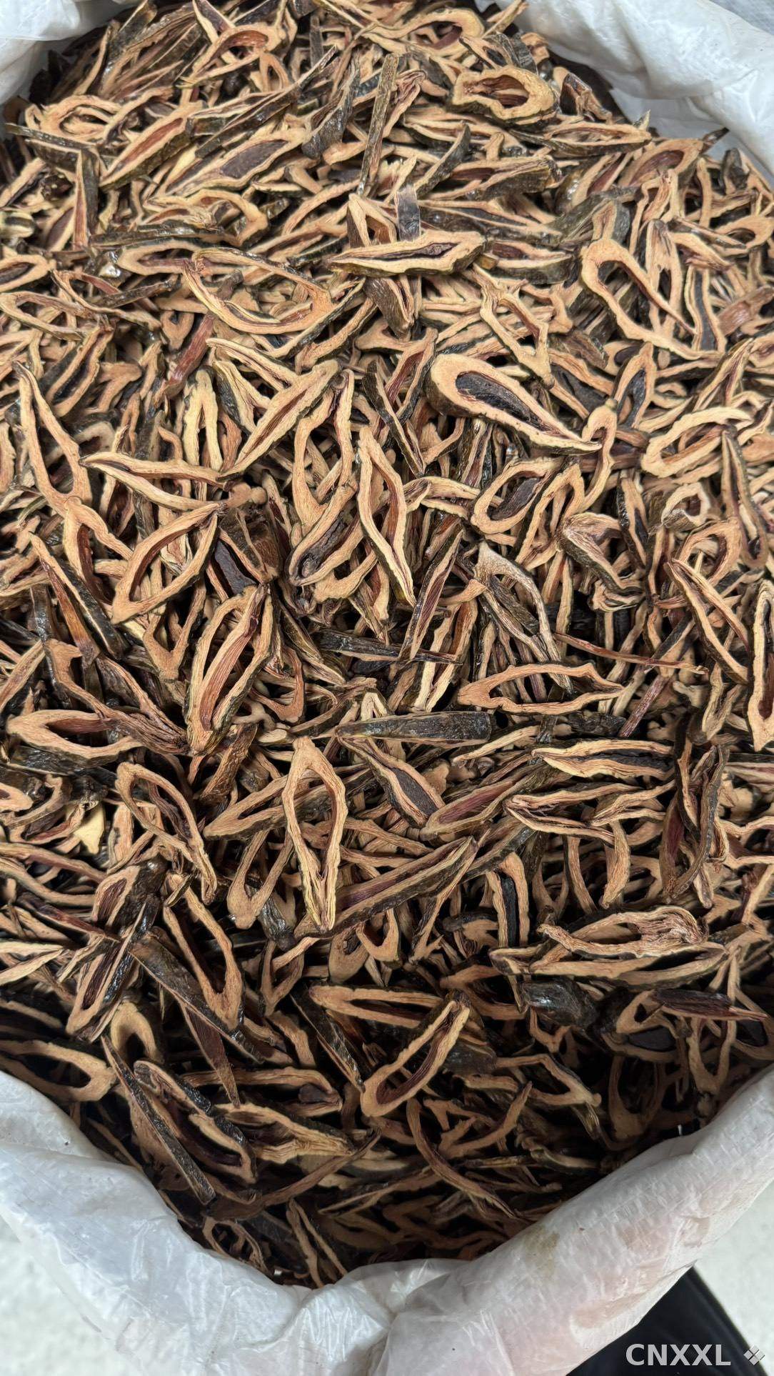 spice_11191_cf42468b_2.jpg